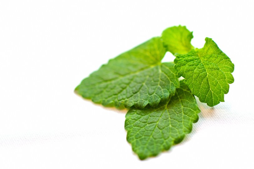 料理に大活躍 簡単 自家製ハーブ の作り方と活用レシピまとめ Snapdish スナップディッシュ