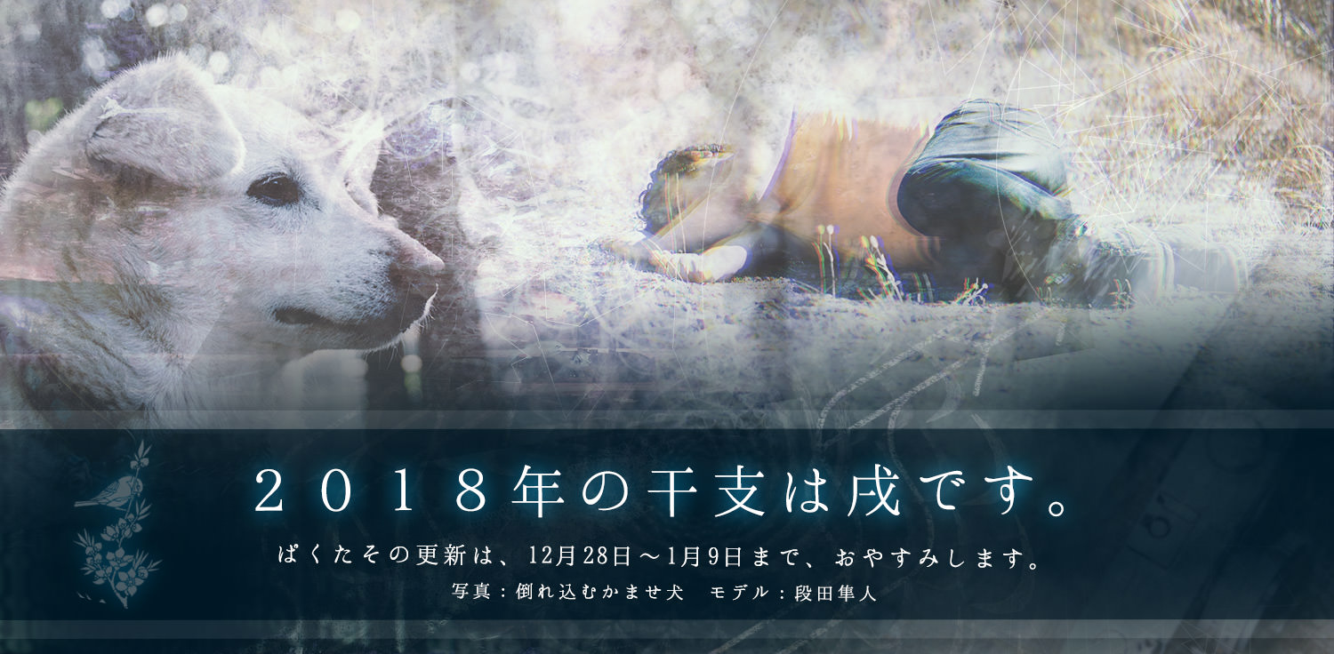 2017年もありがとうございました。運営7年目の一年を振り返る