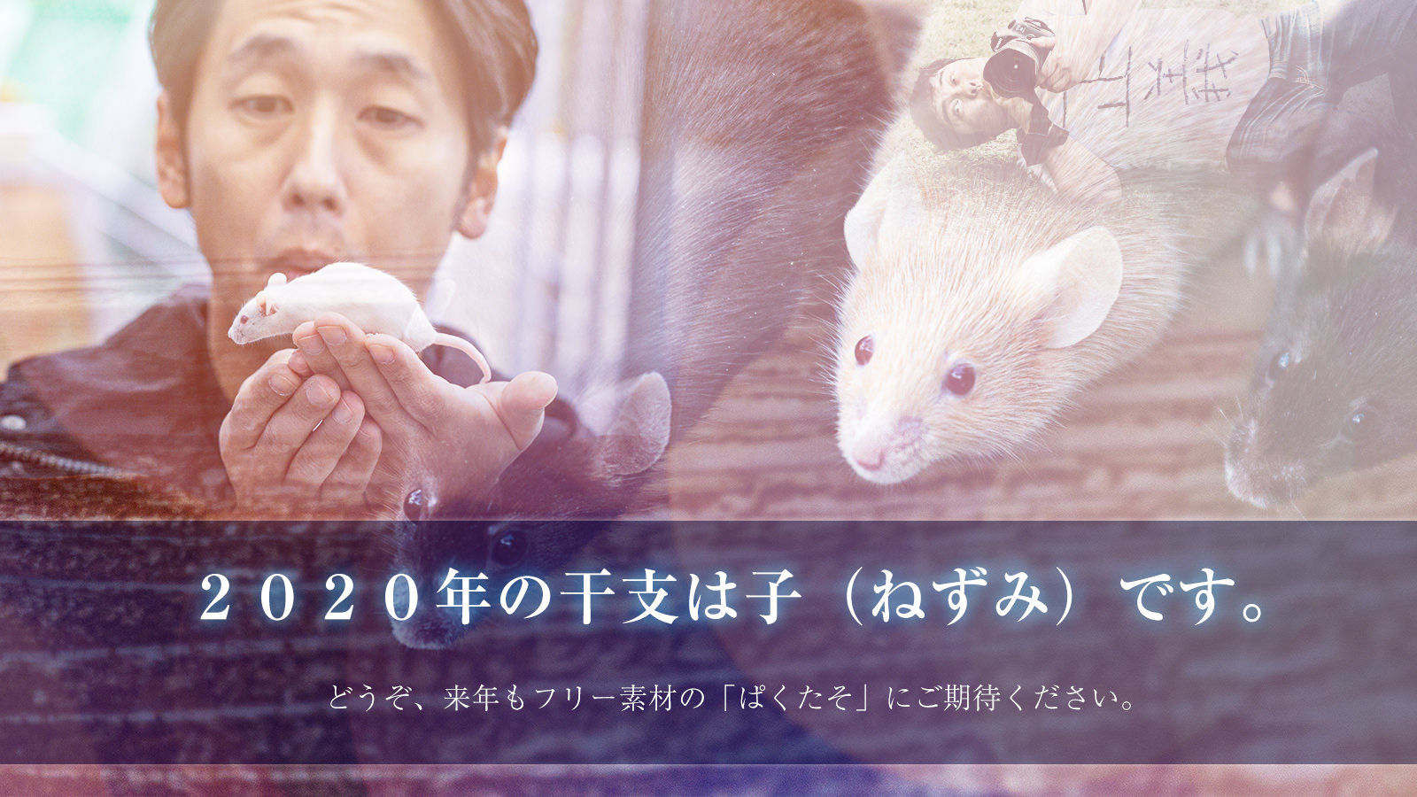 2019年もありがとうございました。運営8年目は最も試練が多かった年