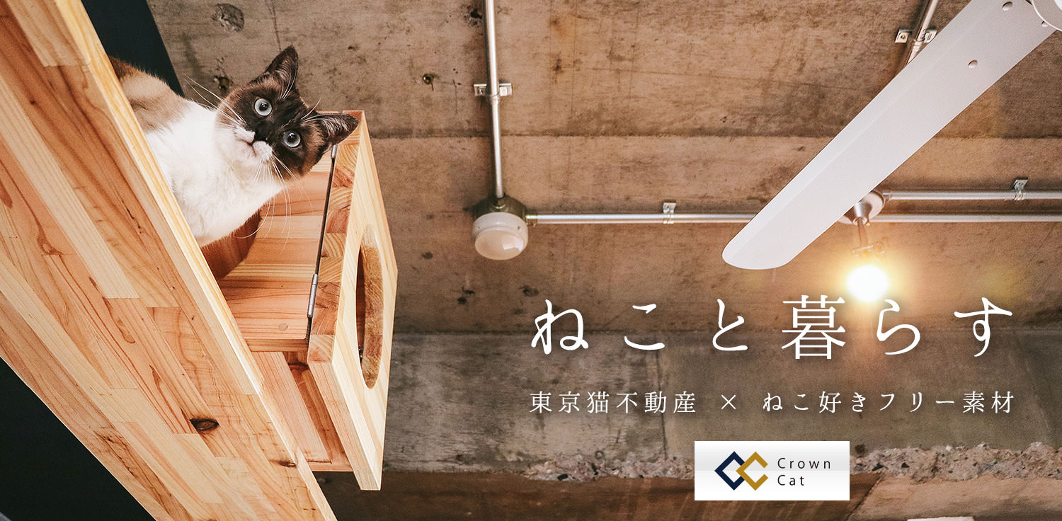 ねこ好き。ねこと暮らす。東京猫不動産コラボ