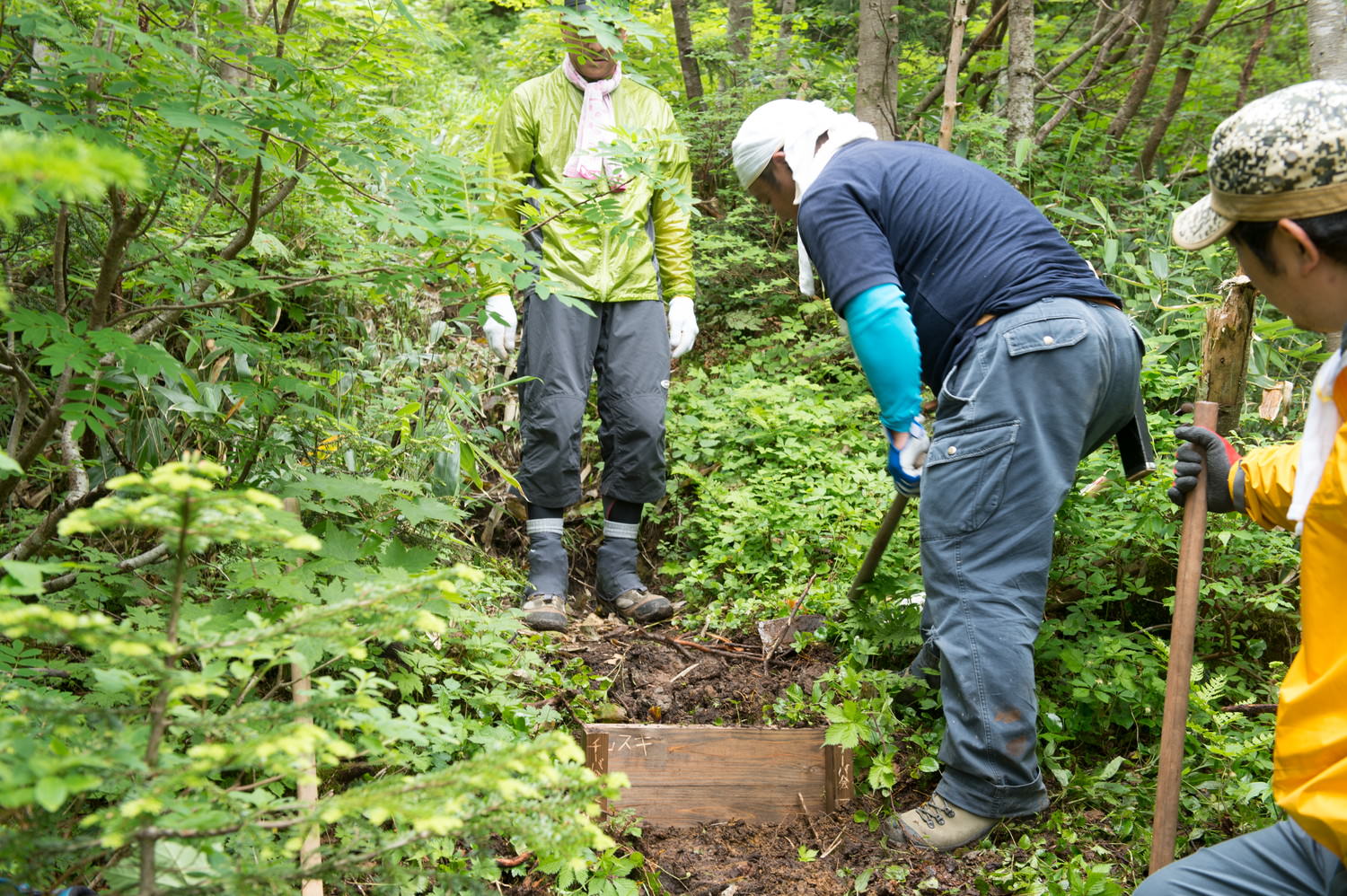 登山道整備の様子