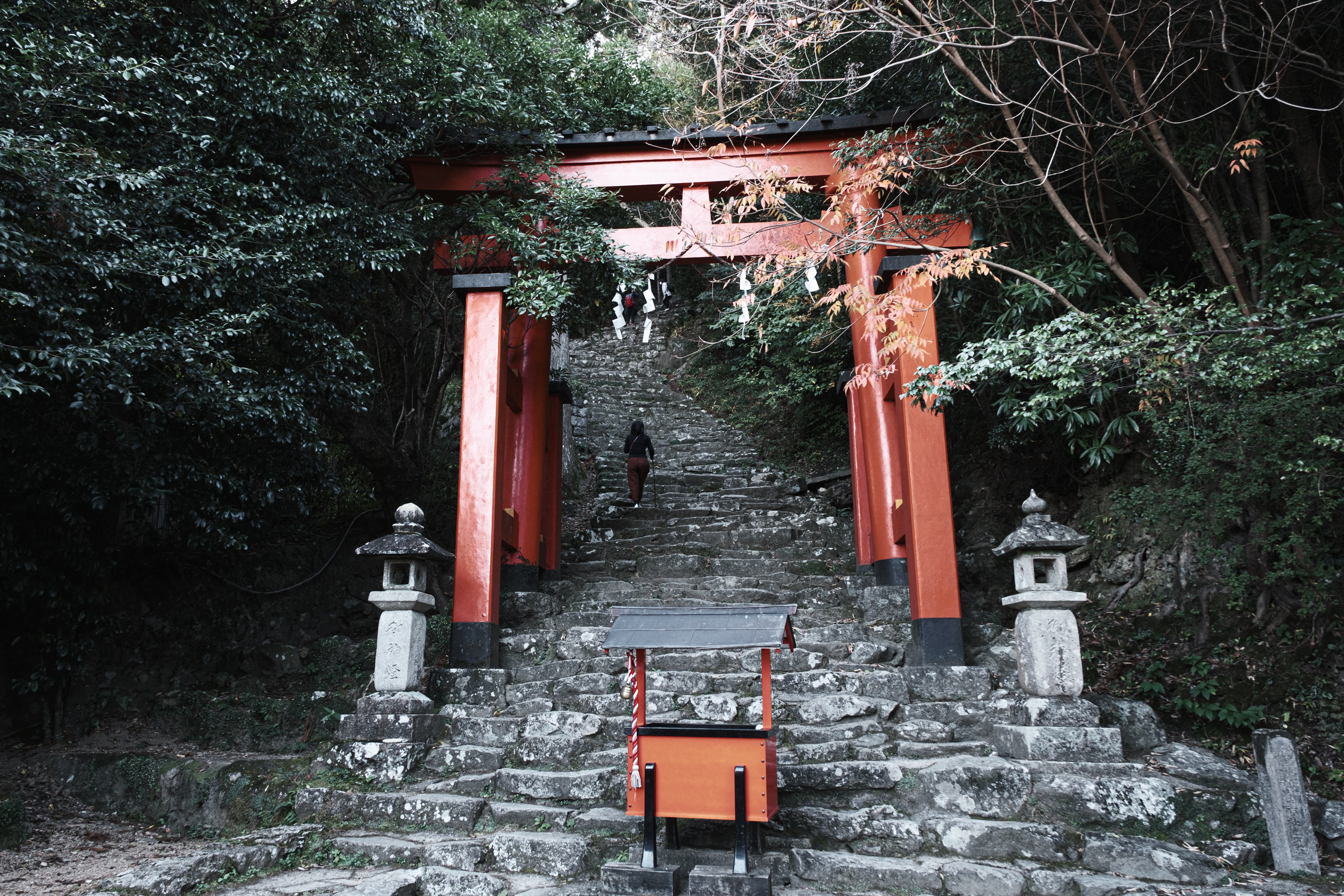 神倉神社の赤い鳥居と石段 和歌山県新宮市 の写真素材 ぱくたそ