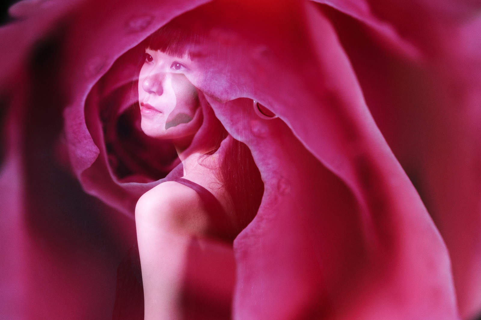 「バラに包まれる女性（フォトモンタージュ） | フリー素材のぱくたそ」の写真［モデル：緋真煉］