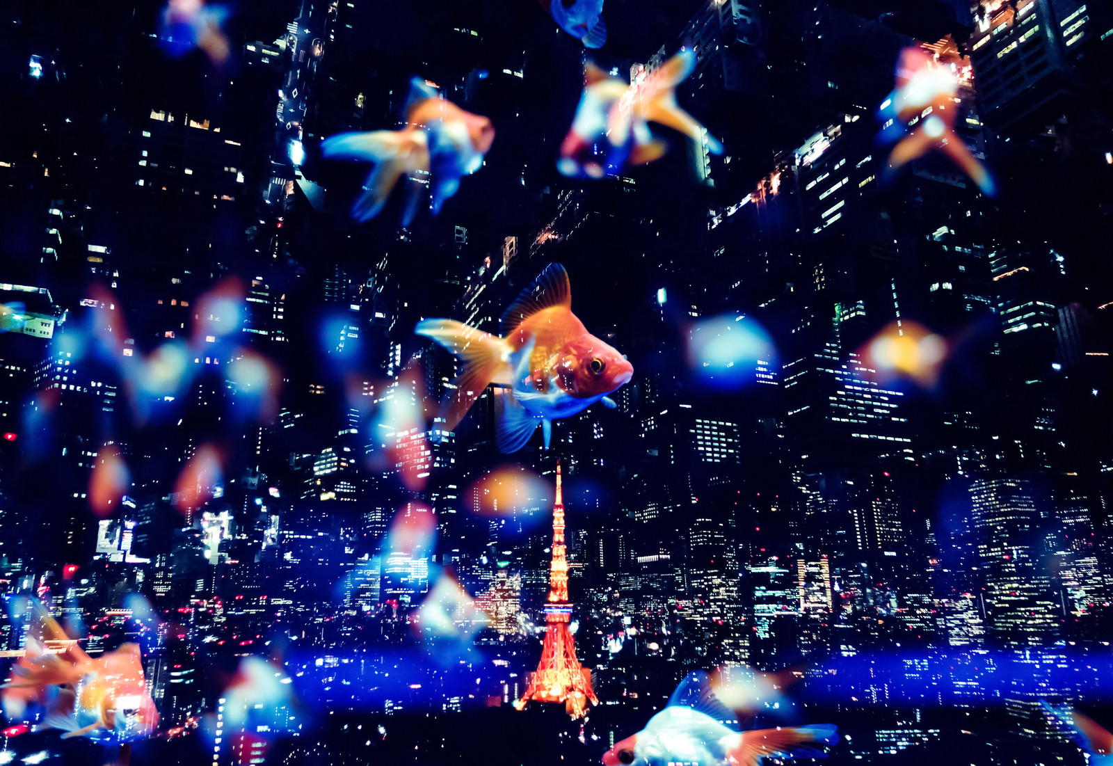 都市とアクア金魚 フトモンタージュ の写真素材 ぱくたそ 都市とアクア金魚 フトモンタージュ の写真素材 ぱくたそ