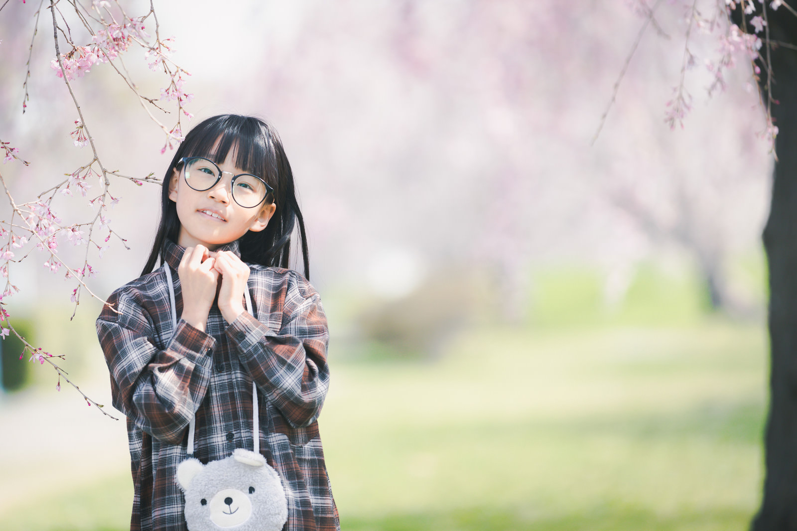 春と女の子の写真素材 ぱくたそ