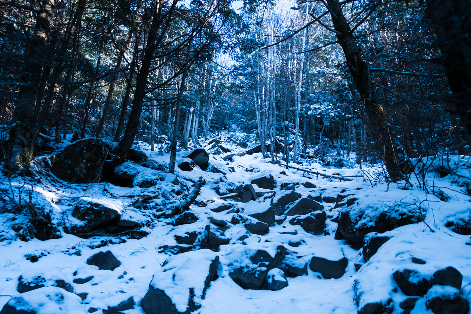 「冬の蓼科山（たてしなやま）登山道冬の蓼科山（たてしなやま）登山道」のフリー写真素材を拡大