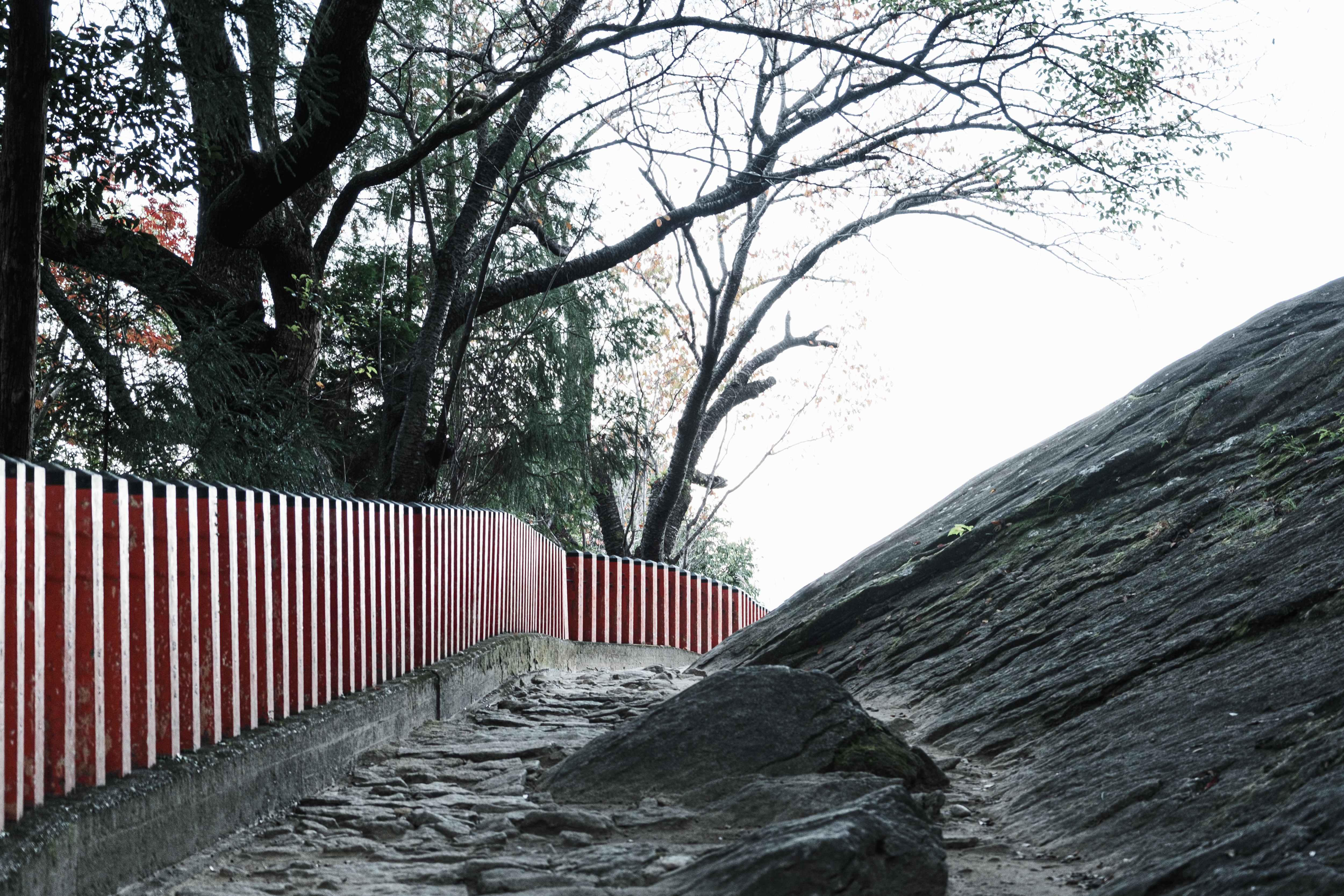 柵沿いの石畳の道 神倉神社 の写真素材 ぱくたそ
