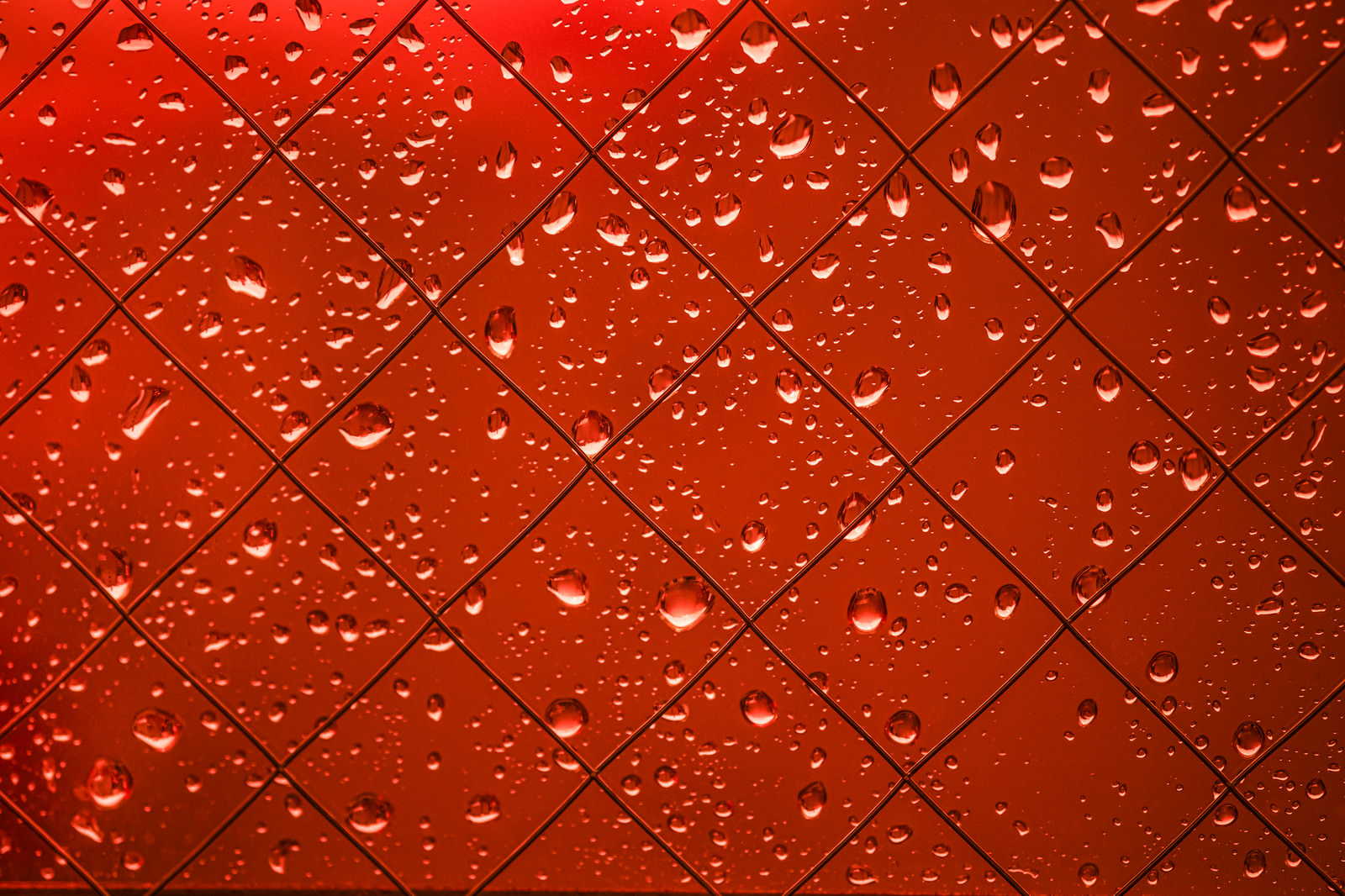 「赤く染まる外と窓の水滴」の写真