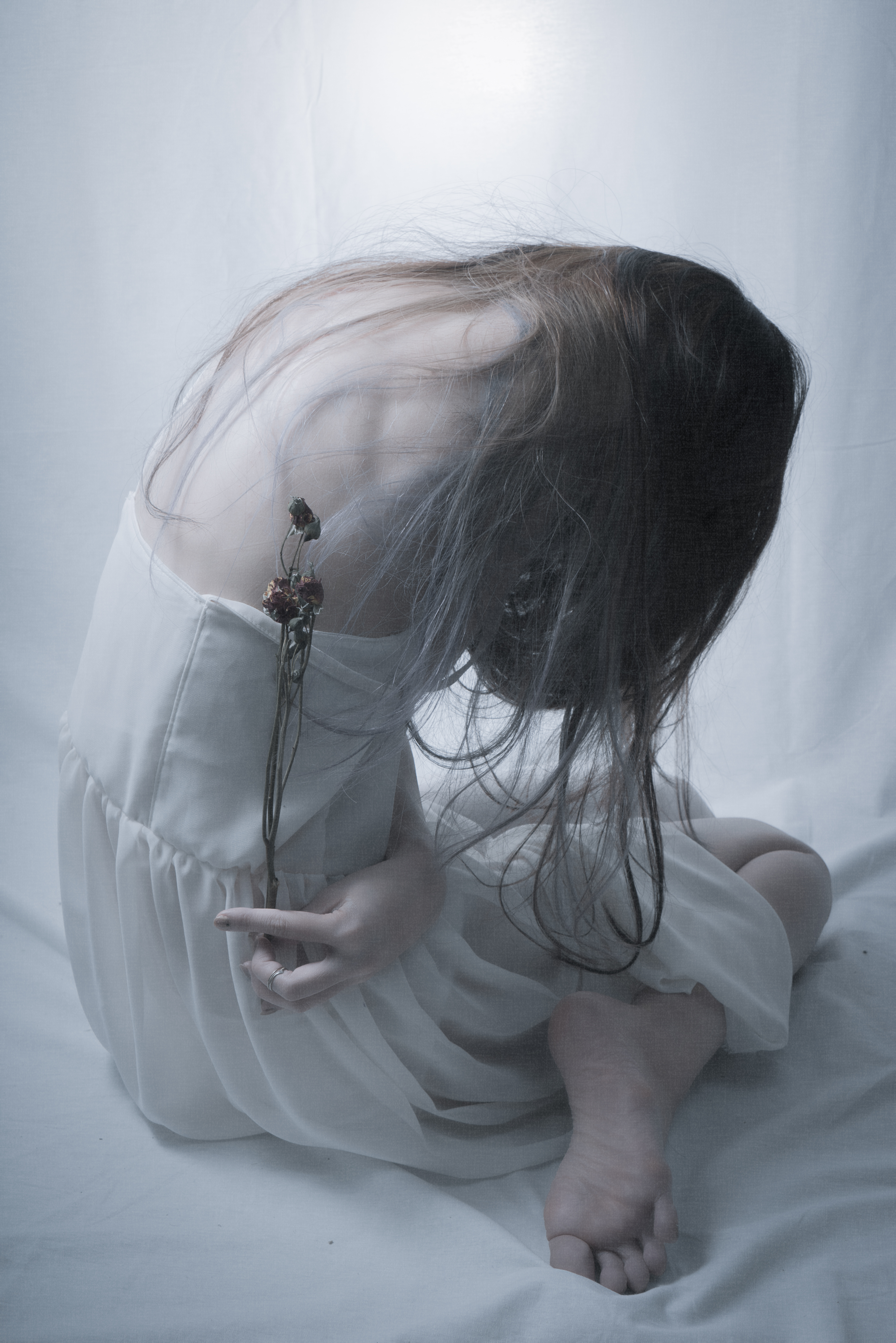 枯れた花の心が折れてしまった時の無料の写真素材 フリー素材 をダウンロード ぱくたそ