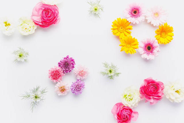 「フラワーハッピー(マット)」のフリー写真素材