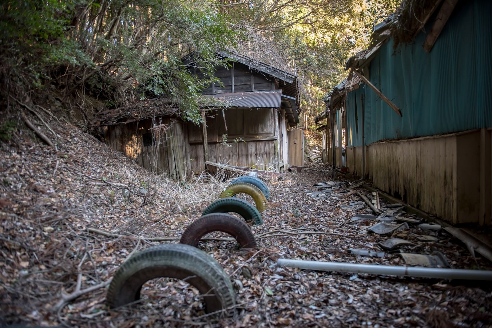 ãå»æ ¡ã®æ ¡èè£å»æ ¡ã®æ ¡èè£ãã®ããªã¼åçç´ æãæ¡å¤§