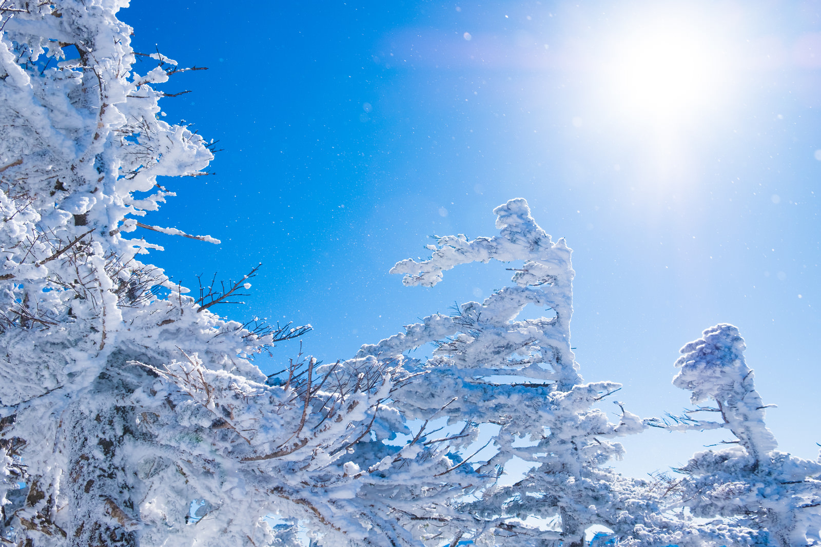 まさに絶景 思わずため息の出る雪のキレイな高画質画像 壁紙まとめ 写真まとめサイト Pictas