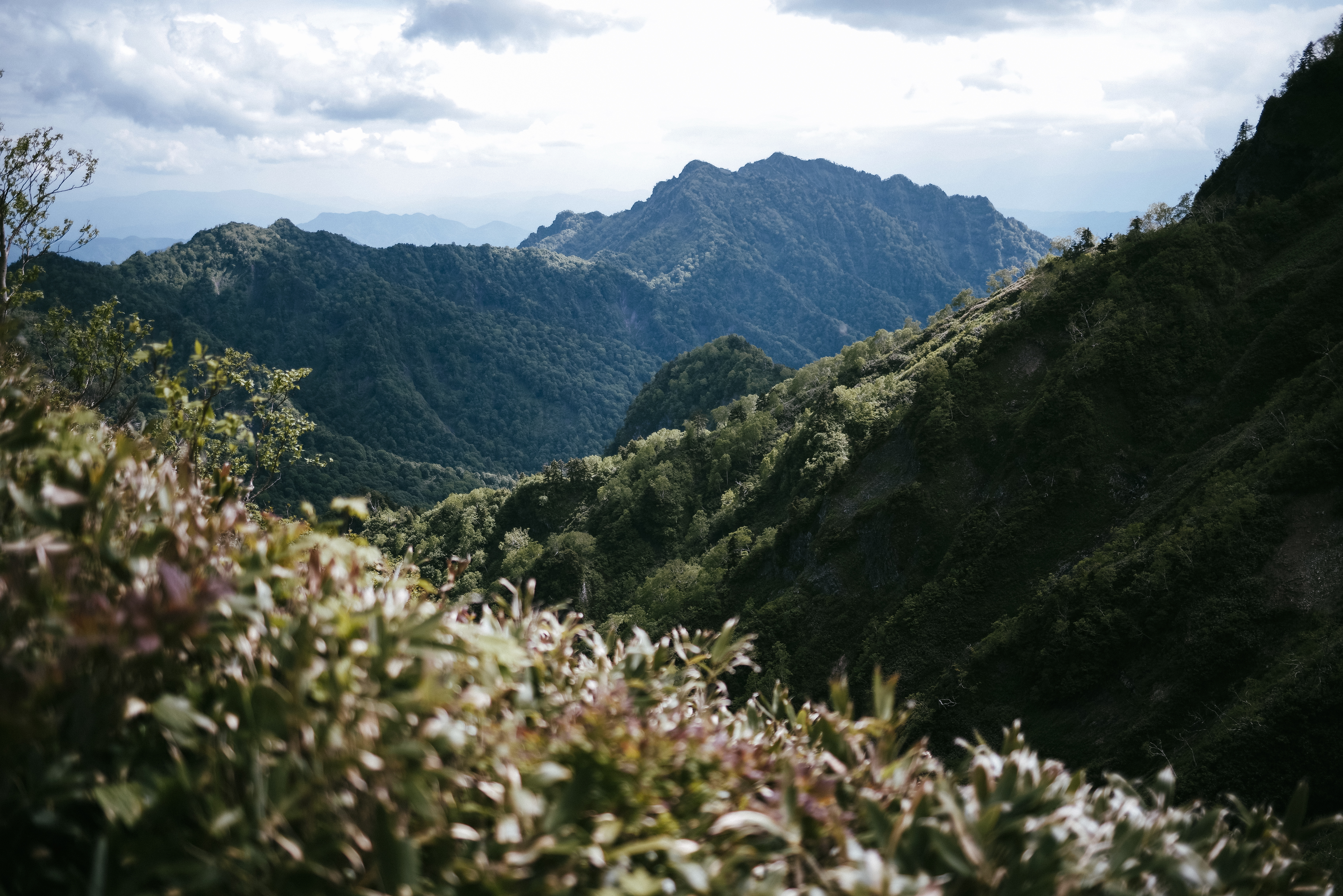 高妻山から遠い戸隠山の景色の写真素材 ぱくたそ