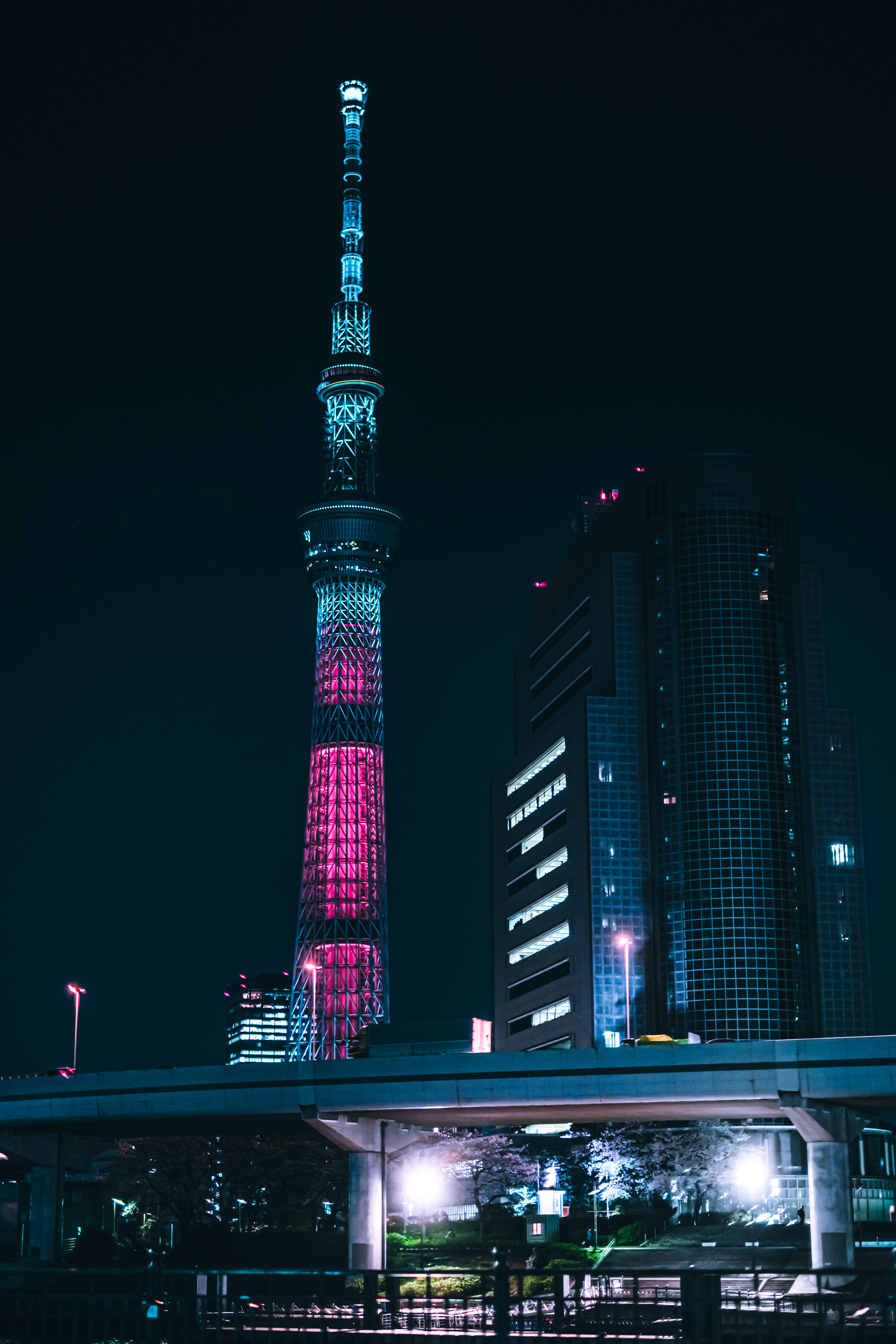 ピンク色にライトアップされた東京スカイツリーの写真素材 ぱくたそ