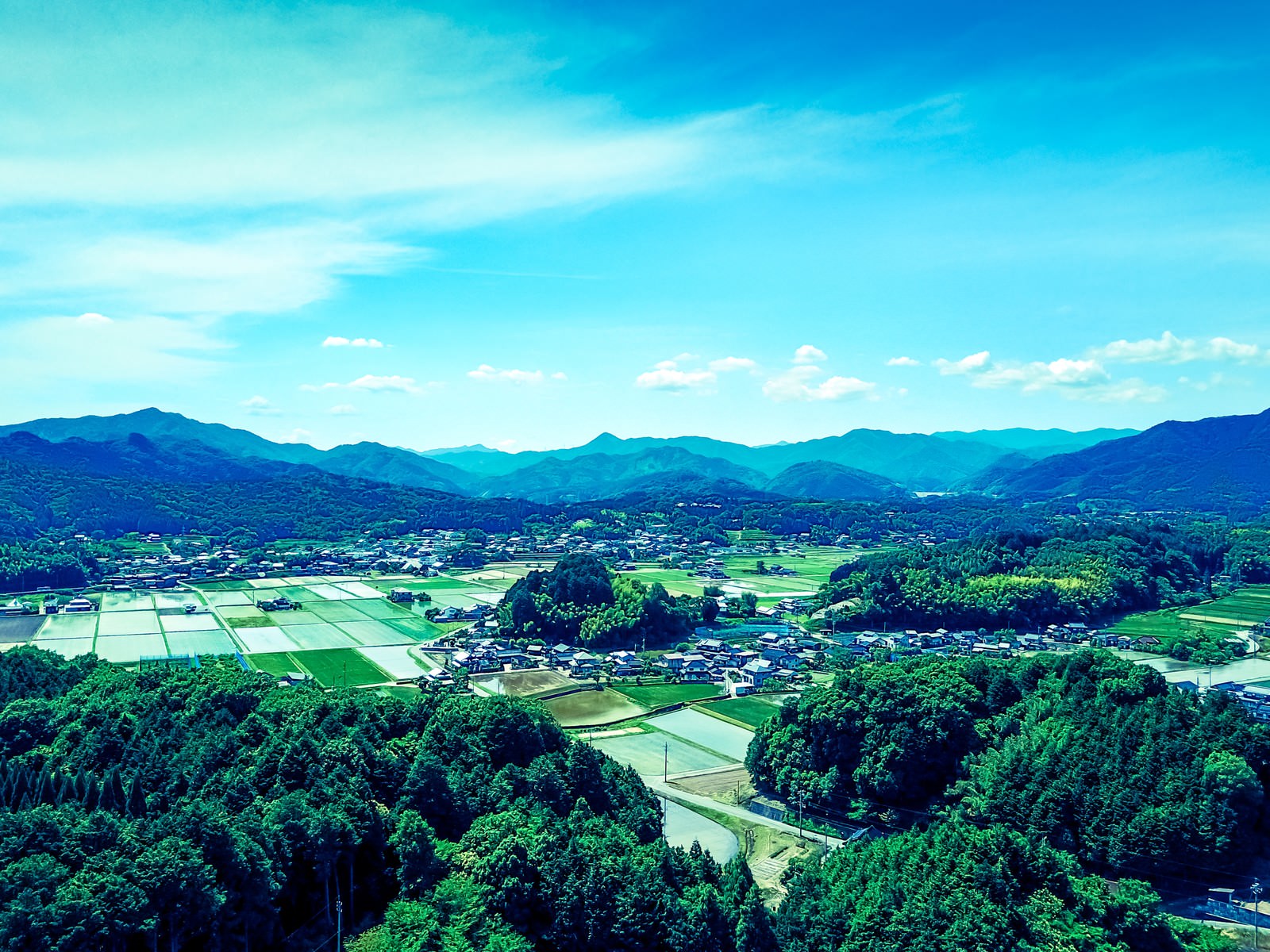 ãå±±æã«å²ã¾ããçºãªã¿ï¼å²¡å±±çé¡éçºï¼ã