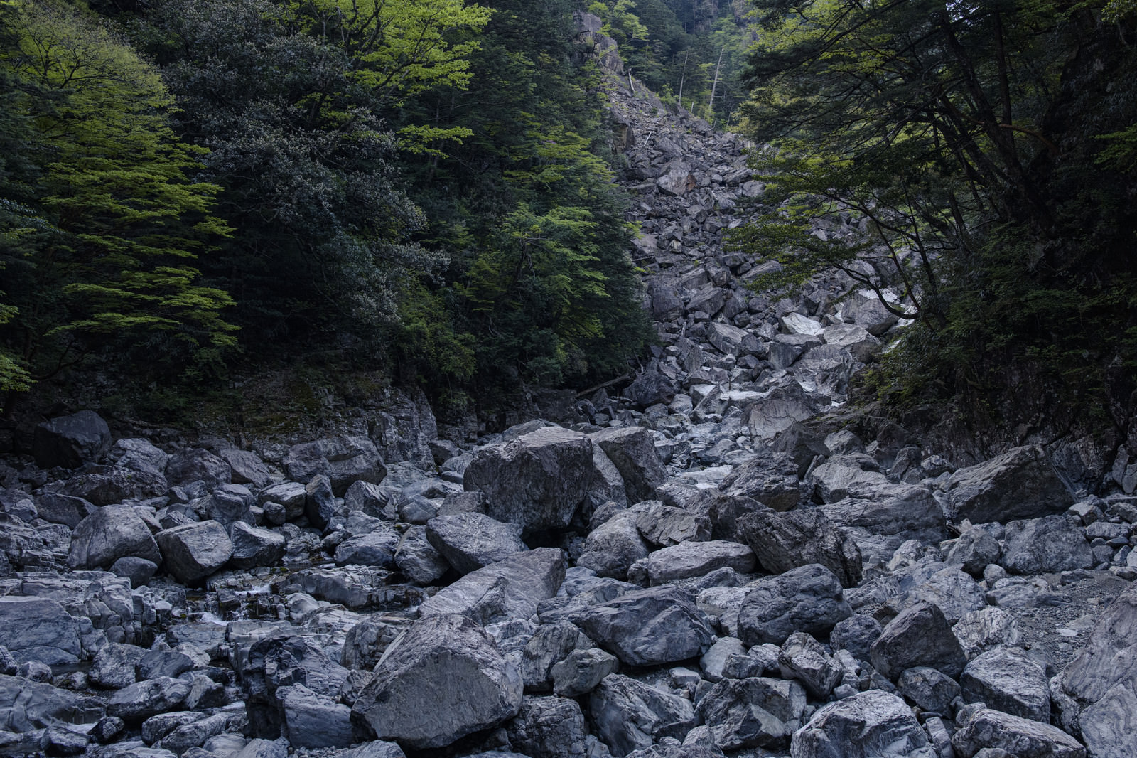 「瓦礫が積み重なる登山道（大台ヶ原大杉谷ルート） | フリー素材のぱくたそ」の写真