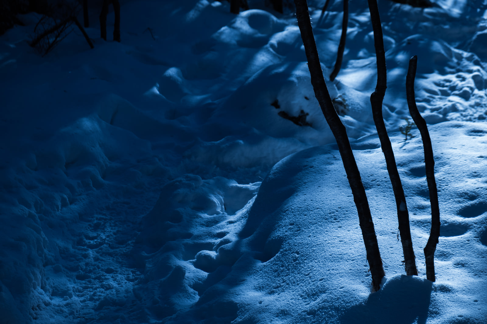 美しさと不安が入り交じる夜の冬山登山道の写真 画像 フリー素材 ぱくたそ