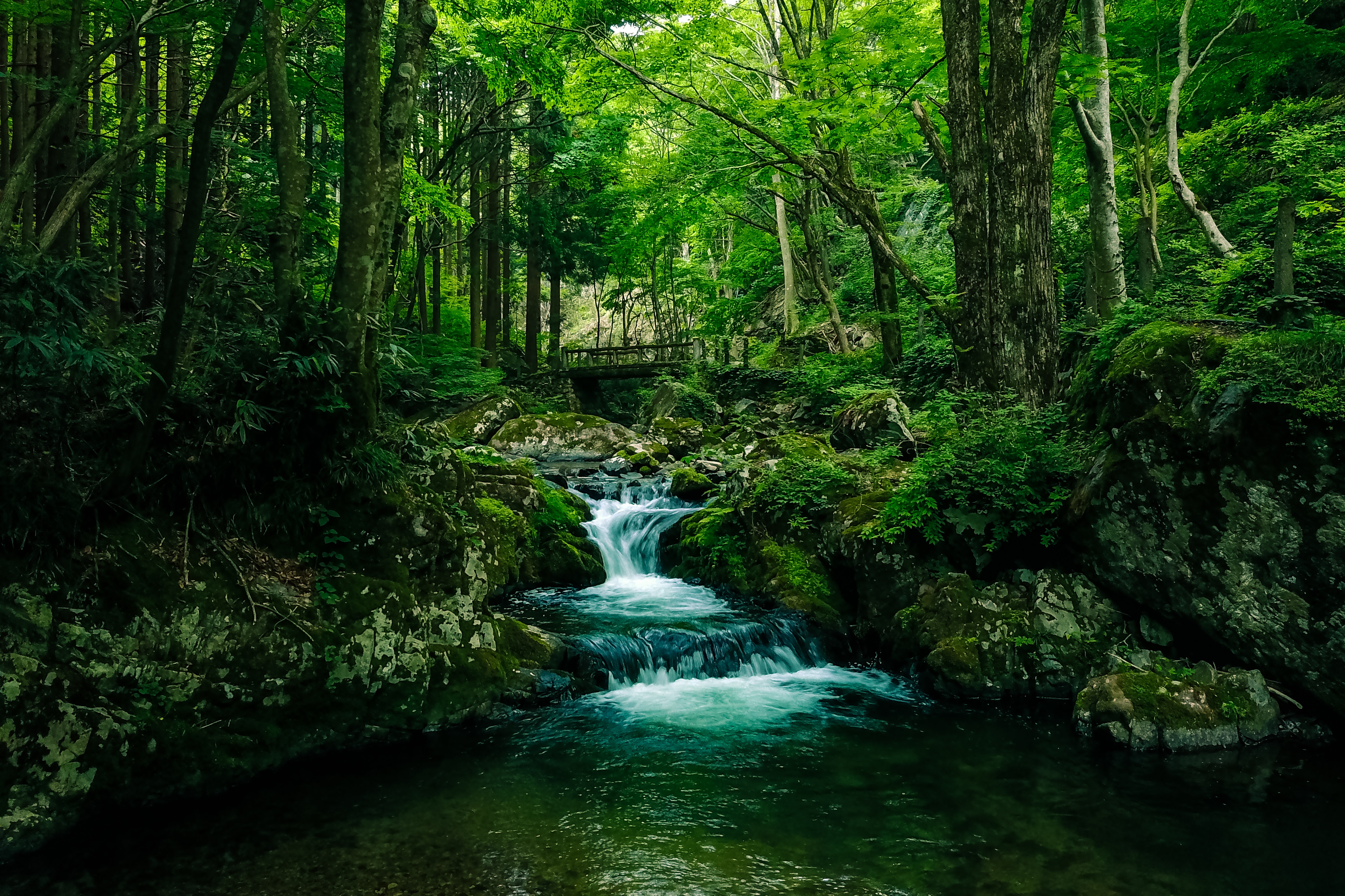 深い森と白賀渓谷 鏡野町 の写真素材 ぱくたそ