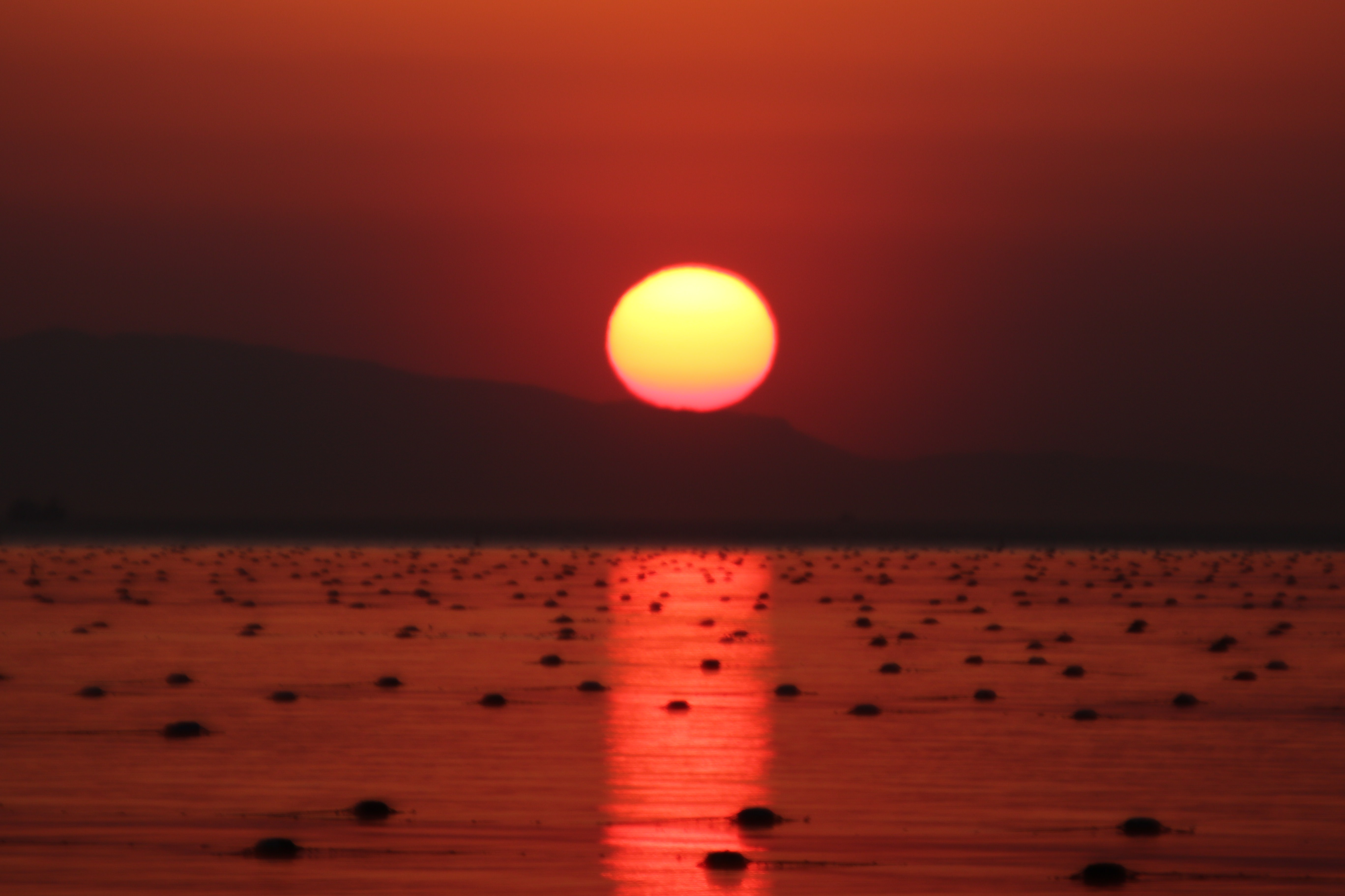 日没前の太陽とレイラインの写真素材 ぱくたそ