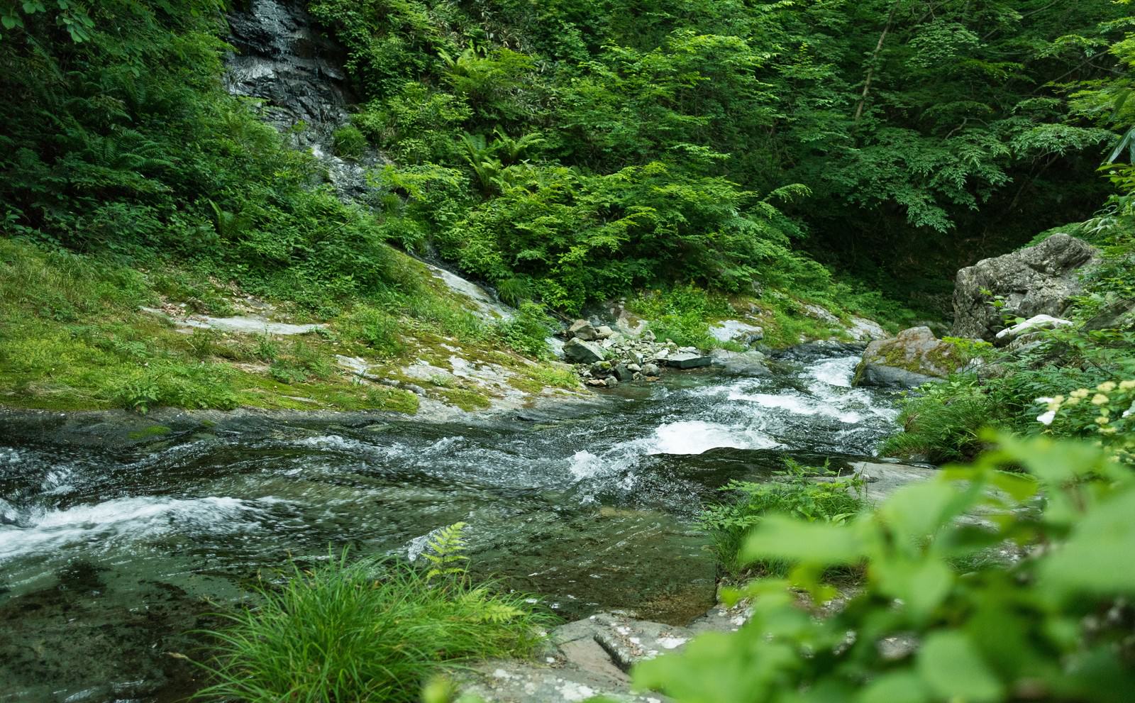渓谷を流れる川の流れの写真を無料ダウンロード フリー素材 ぱくたそ