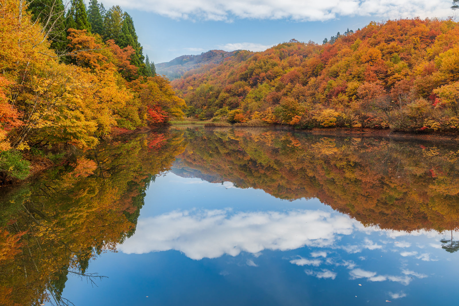 「湖面に映り込む秋の空 | フリー素材のぱくたそ」の写真