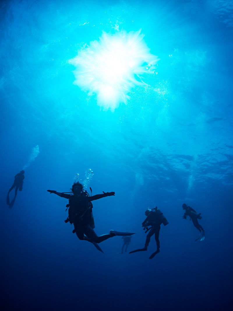 浮遊するダイバーの写真を無料ダウンロード フリー素材 ぱくたそ