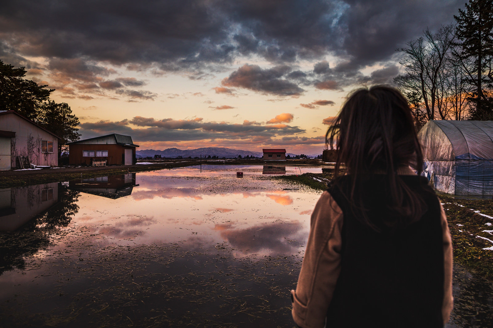 夕暮れのセリ畑を見つめる少女の写真素材 ぱくたそ