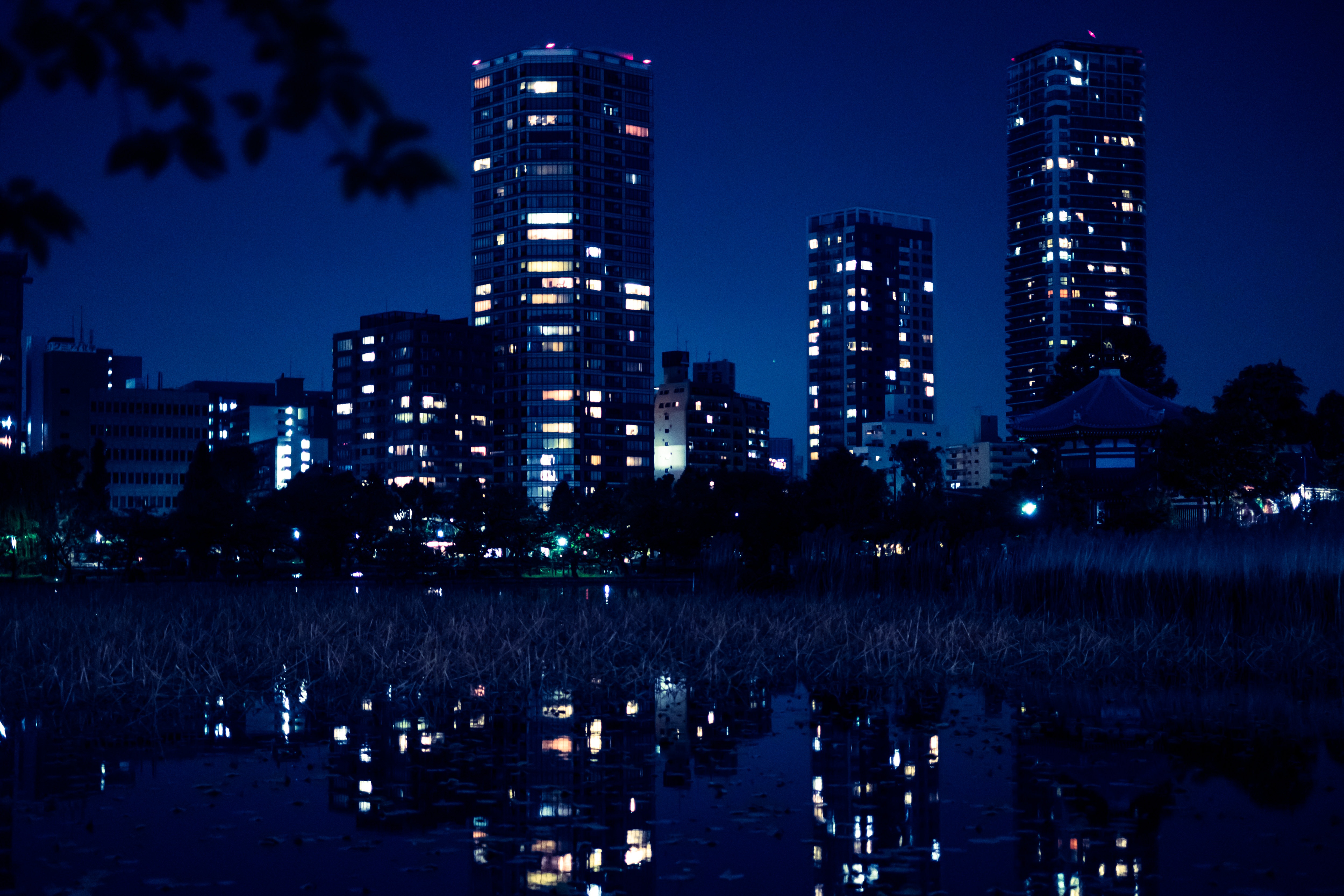 夜が更けた不忍池の様子の写真を無料ダウンロード（フリー素材） ぱくたそ