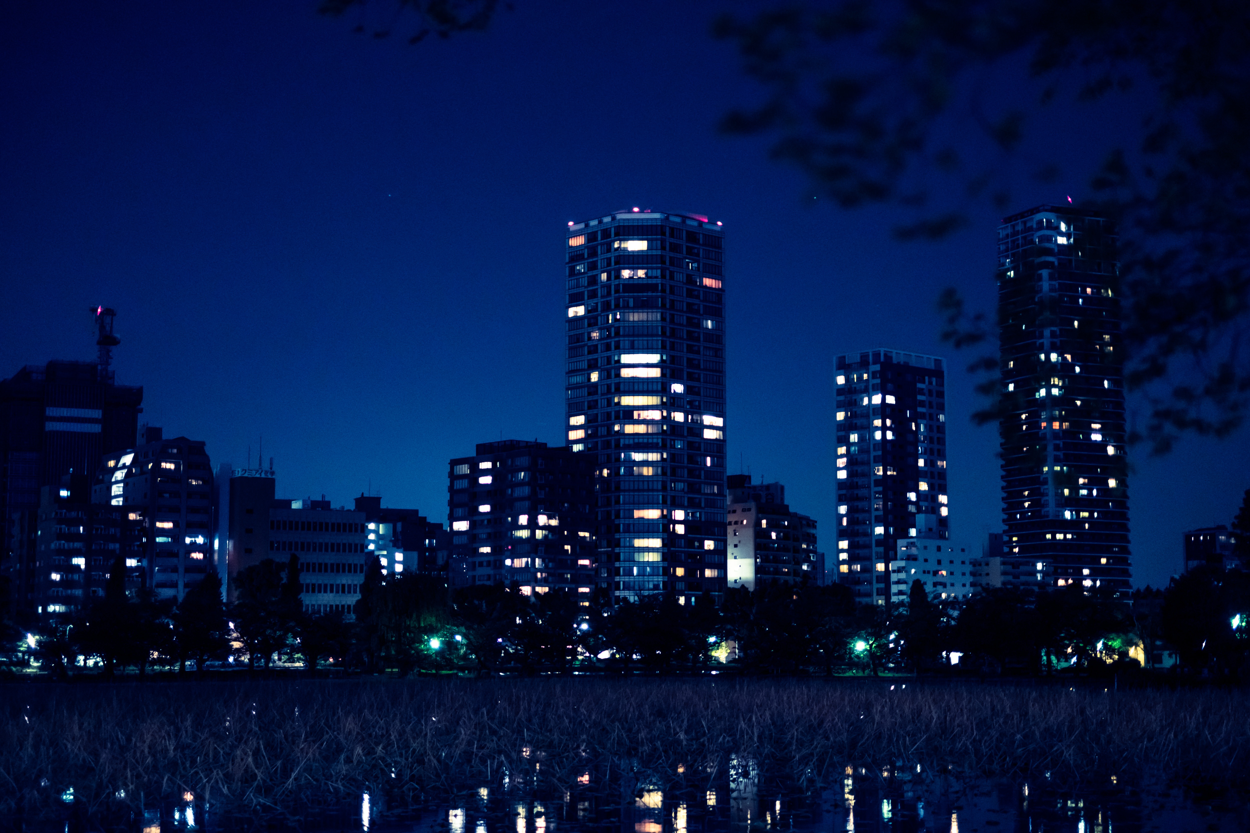 高層マンションと不忍池の夜の写真素材 ぱくたそ