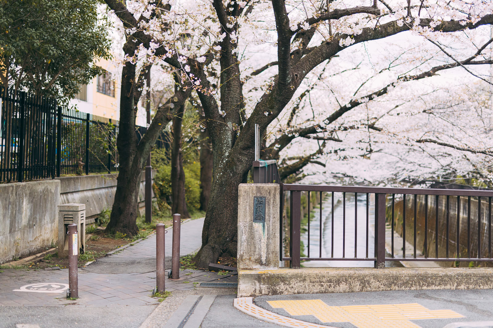 「石神井川の加賀橋と緑道 | フリー素材のぱくたそ」の写真