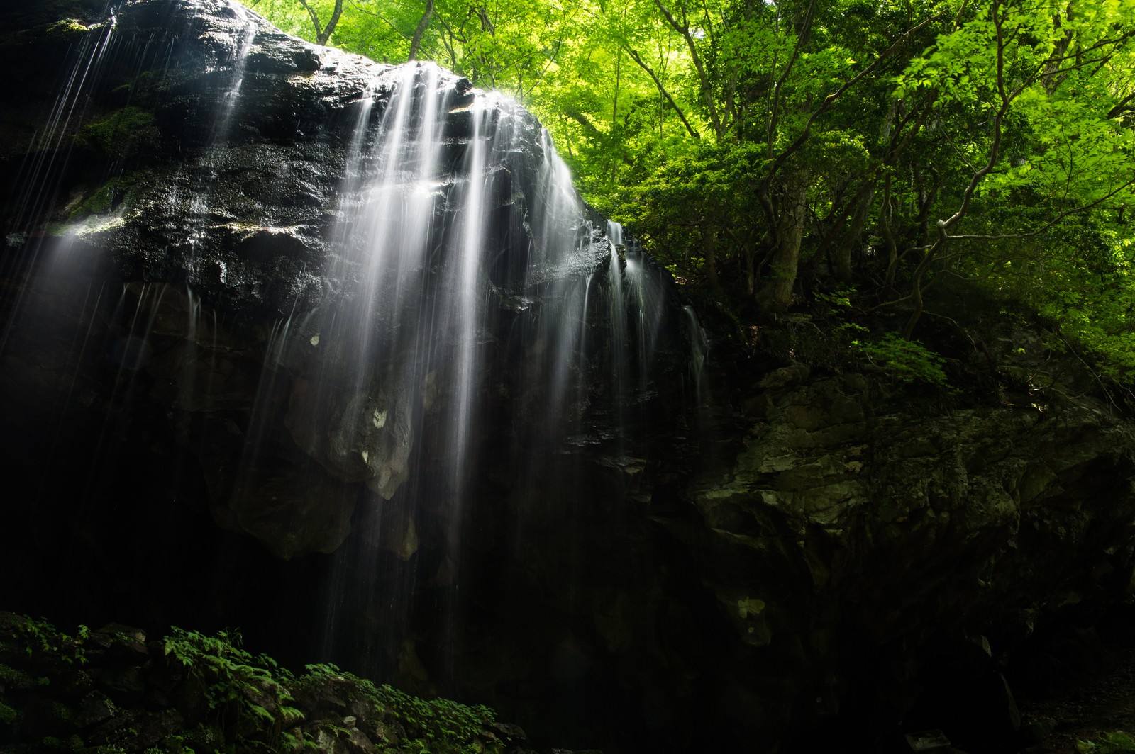 ãå²¡å±±çé¡éçºã®è¦³ååæ-å²©äºæ»ãã®åç