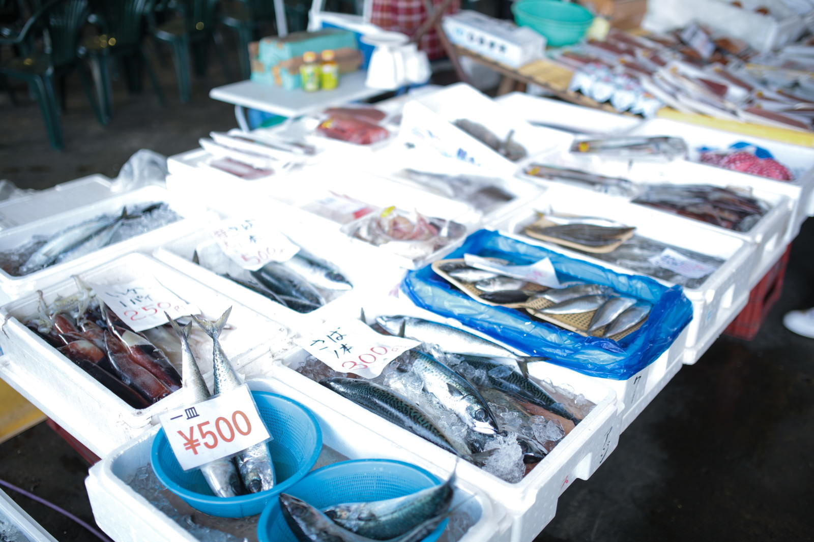 「朝市で売られている鮮魚」の写真