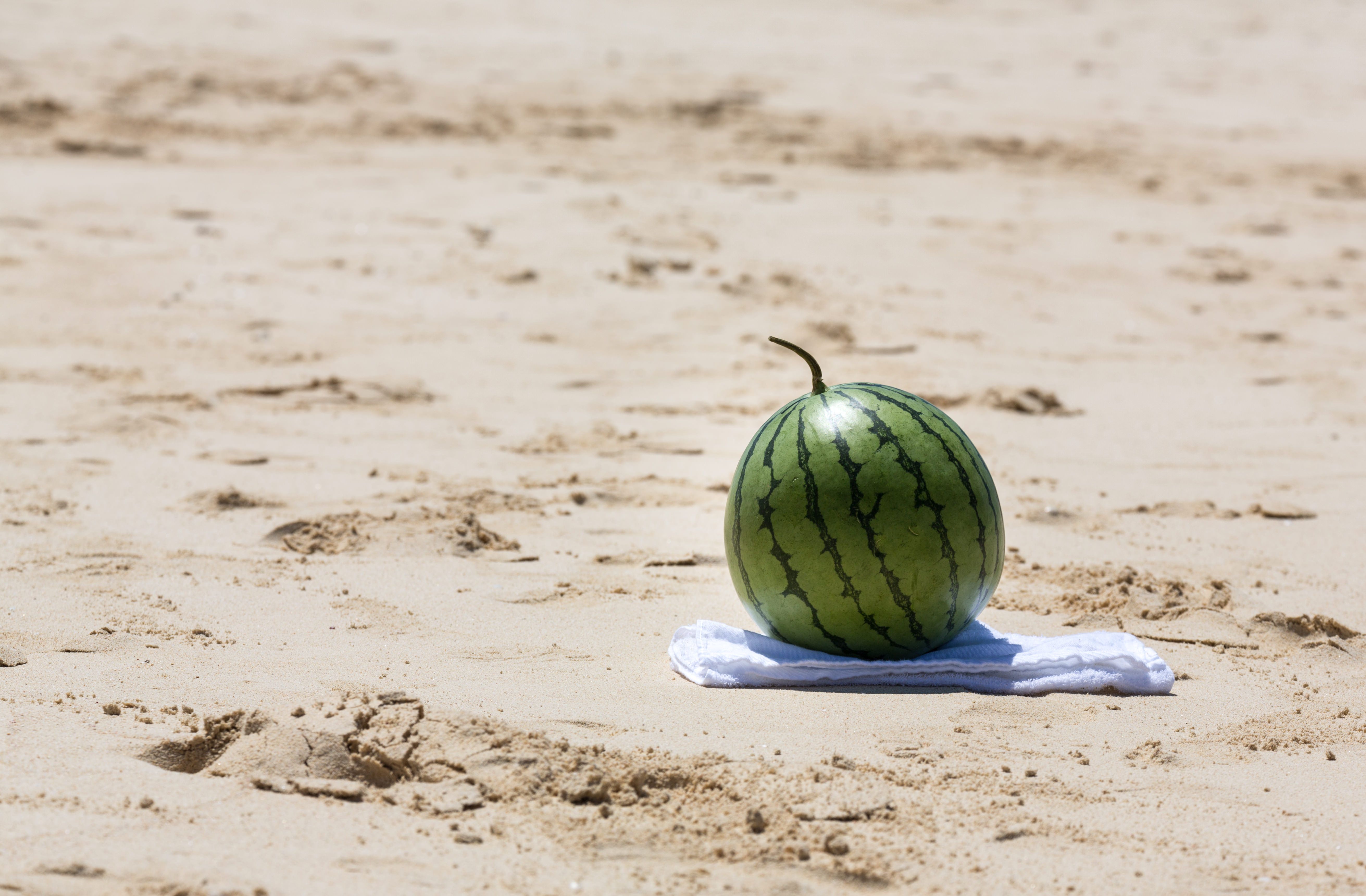砂浜でスイカ割り 準備中 の写真素材 ぱくたそ