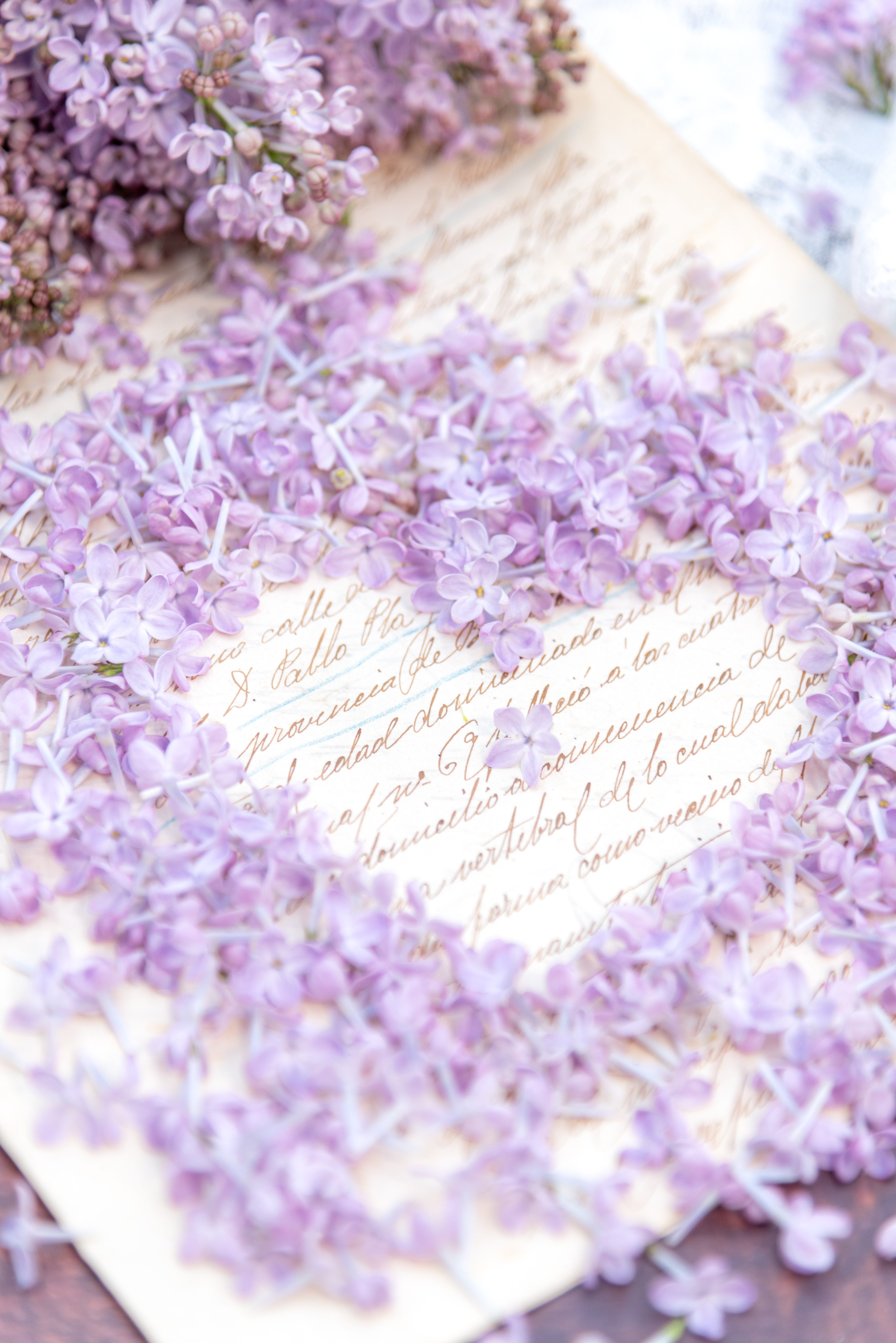 ハートの中心のライラックの花の写真素材 ぱくたそ