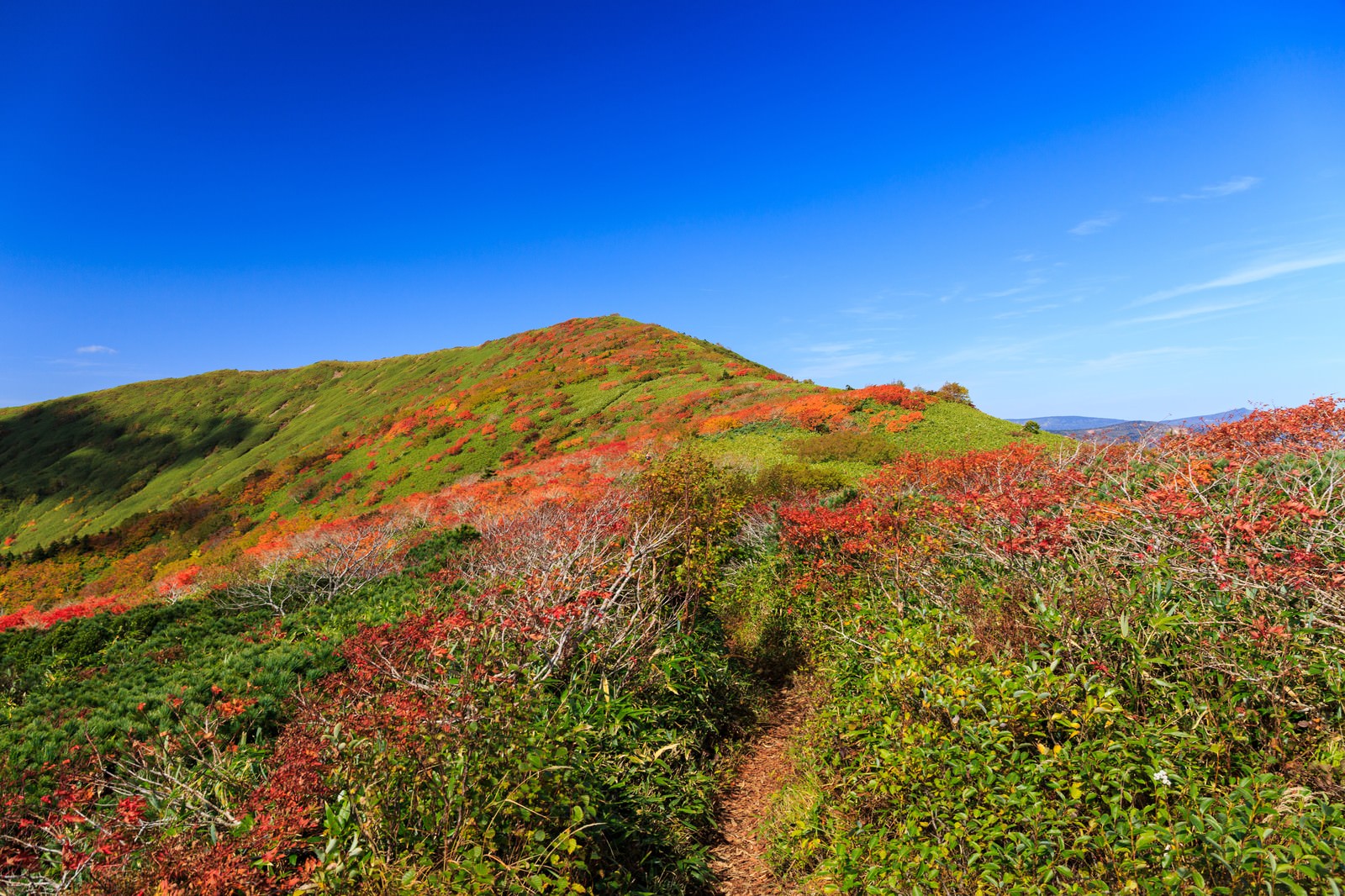 「秋の山歩き（紅葉する森林限界）」の写真