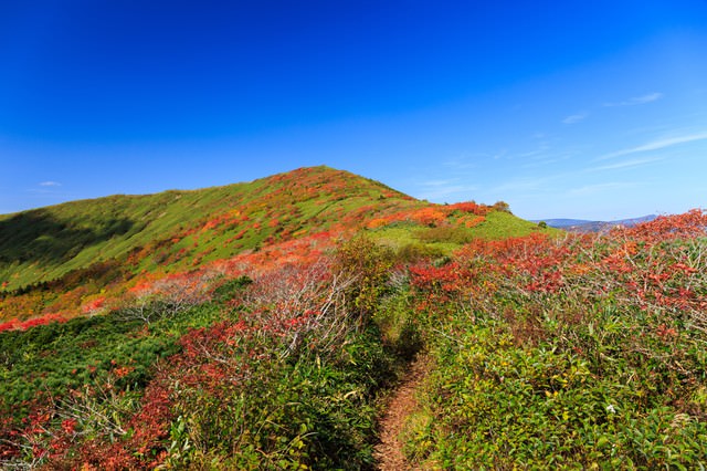 秋の山歩き（紅葉する森林限界）