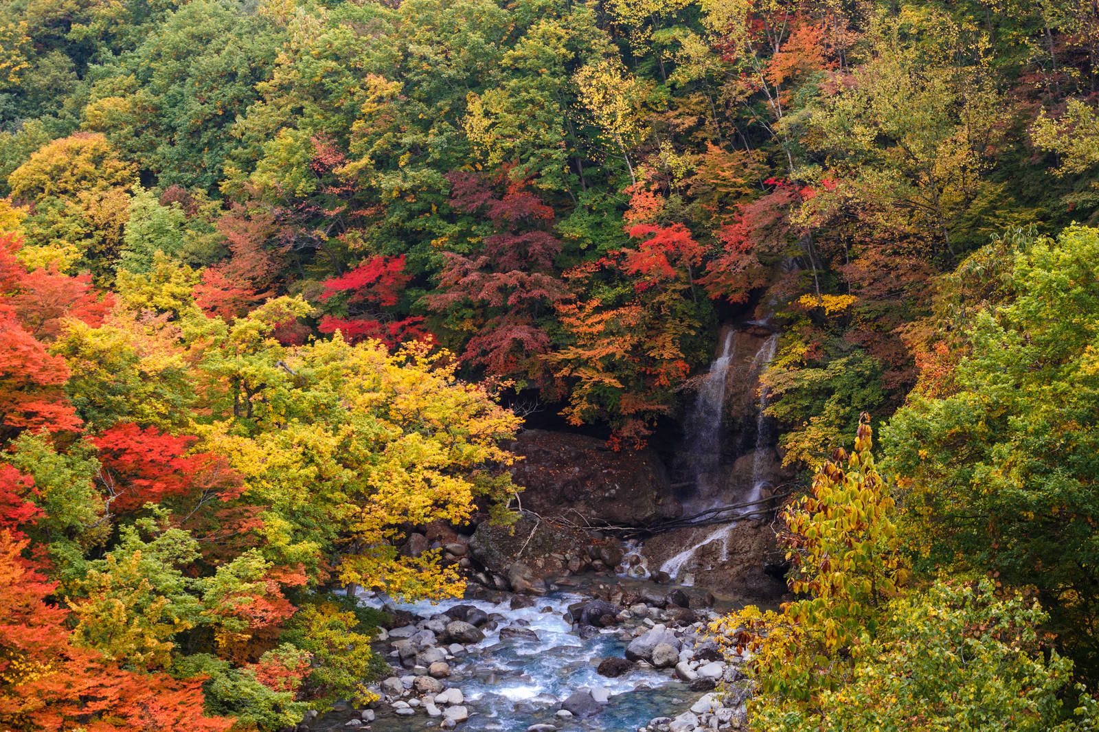 八幡平の紅葉渓谷の写真 画像 を無料ダウンロード フリー素材のぱくたそ