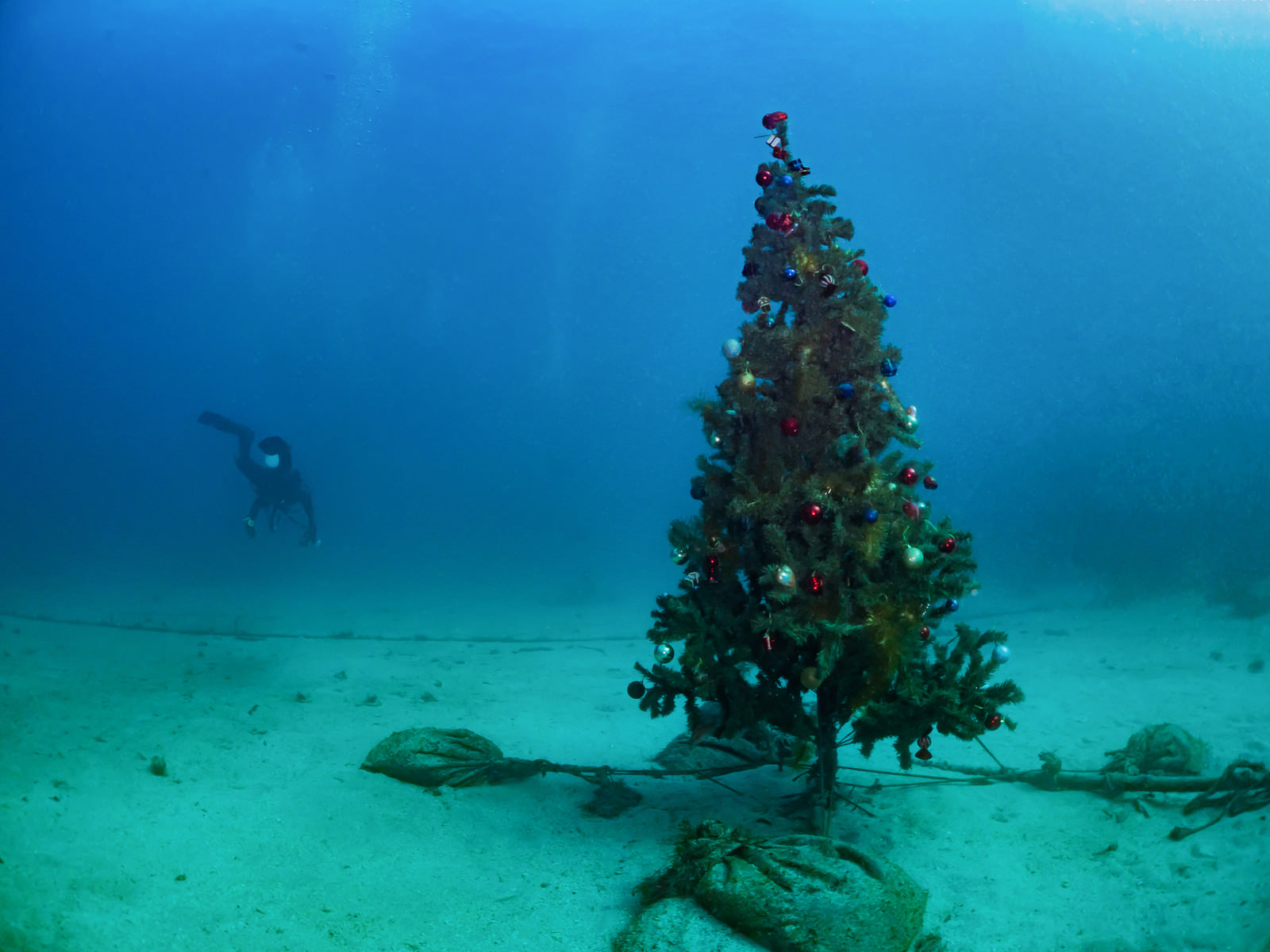 海中のクリスマスツリー フリー素材のぱくたそ