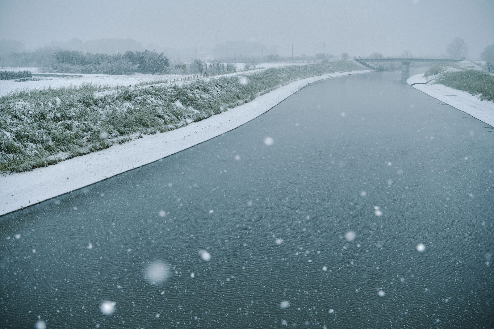 雪の降る朝の赤 雪に覆われた森の向こうの赤い空の写真 – Unsplashの雪の無料画像