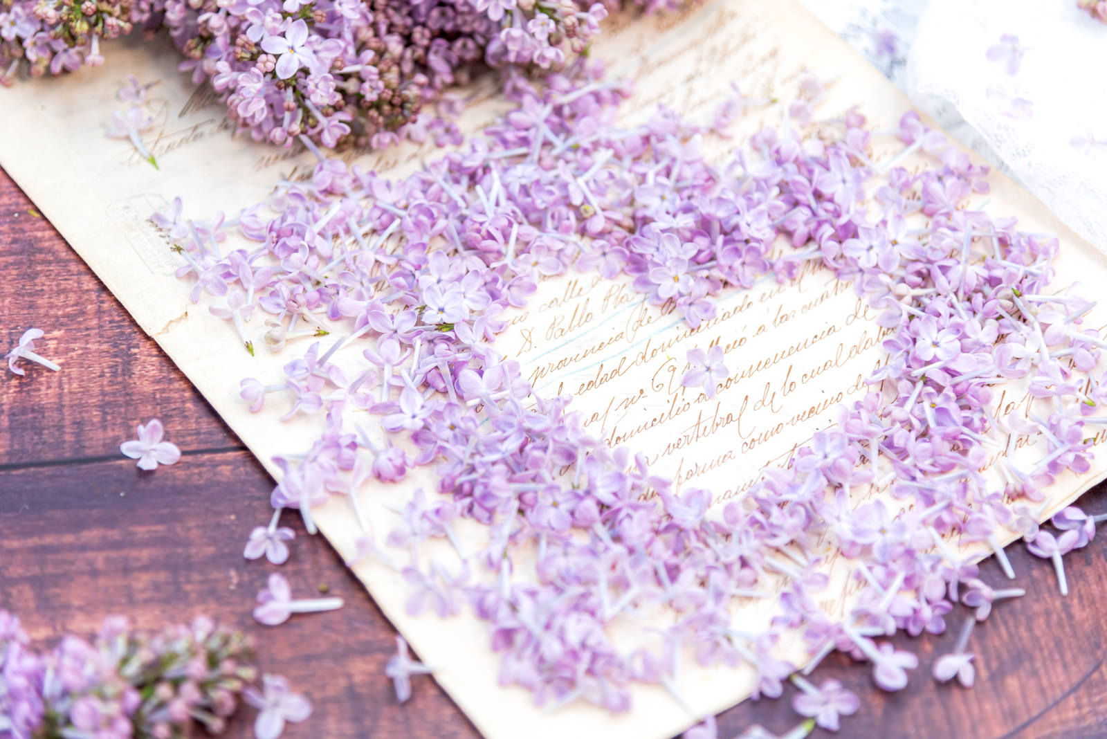 ハート型に作られたライラックの花の写真素材 ぱくたそ