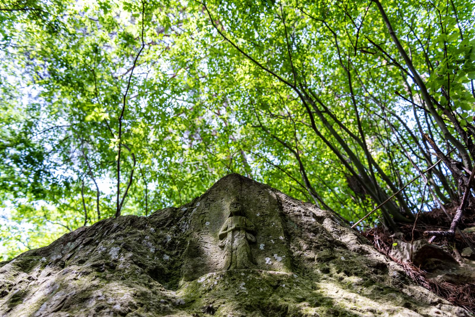 「木漏れ日の中のお地蔵（武石公園） | フリー素材のぱくたそ」の写真