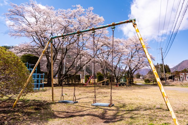 児童公園に咲く桜とブランコ