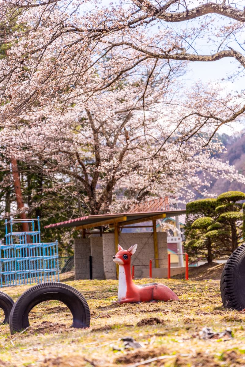 「桜咲く児童公園と鹿の遊具 | フリー素材のぱくたそ」の写真