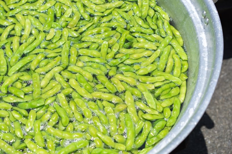 魚油 推薦 2021
