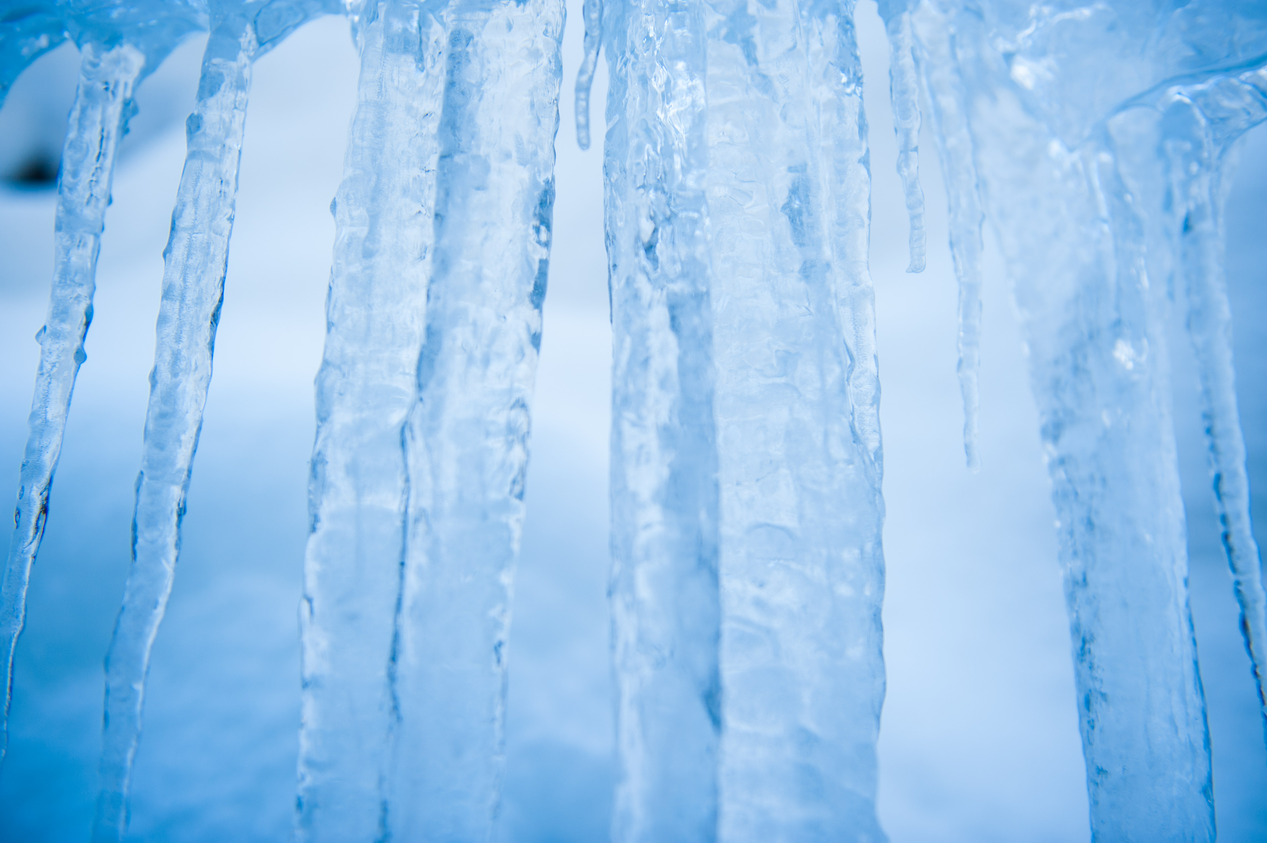 積雪が透けて見える氷柱 つらら の写真 画像 フリー素材 ぱくたそ
