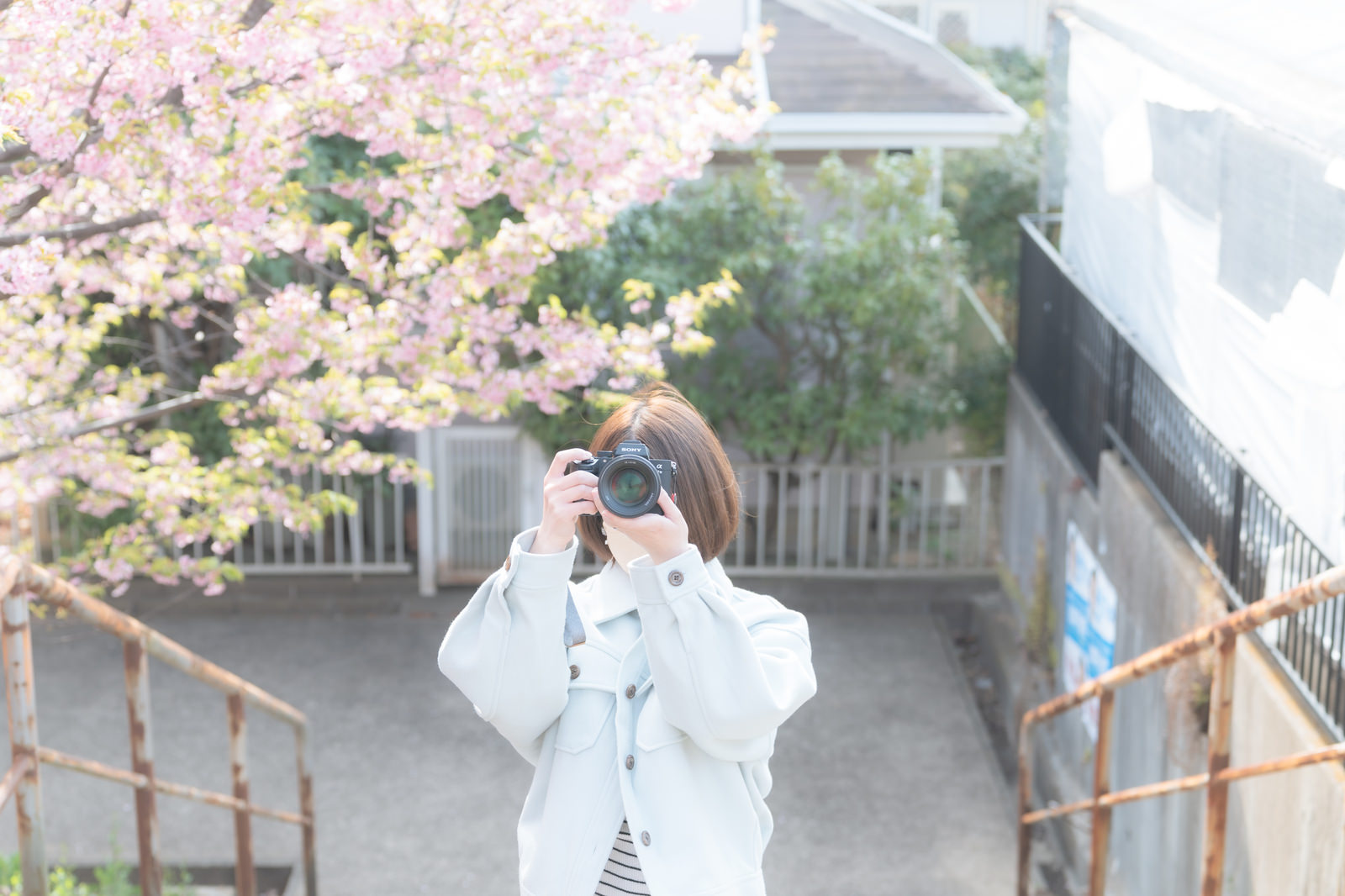 「フォトウォークで桜を撮影する女性フォトグラファー」の写真