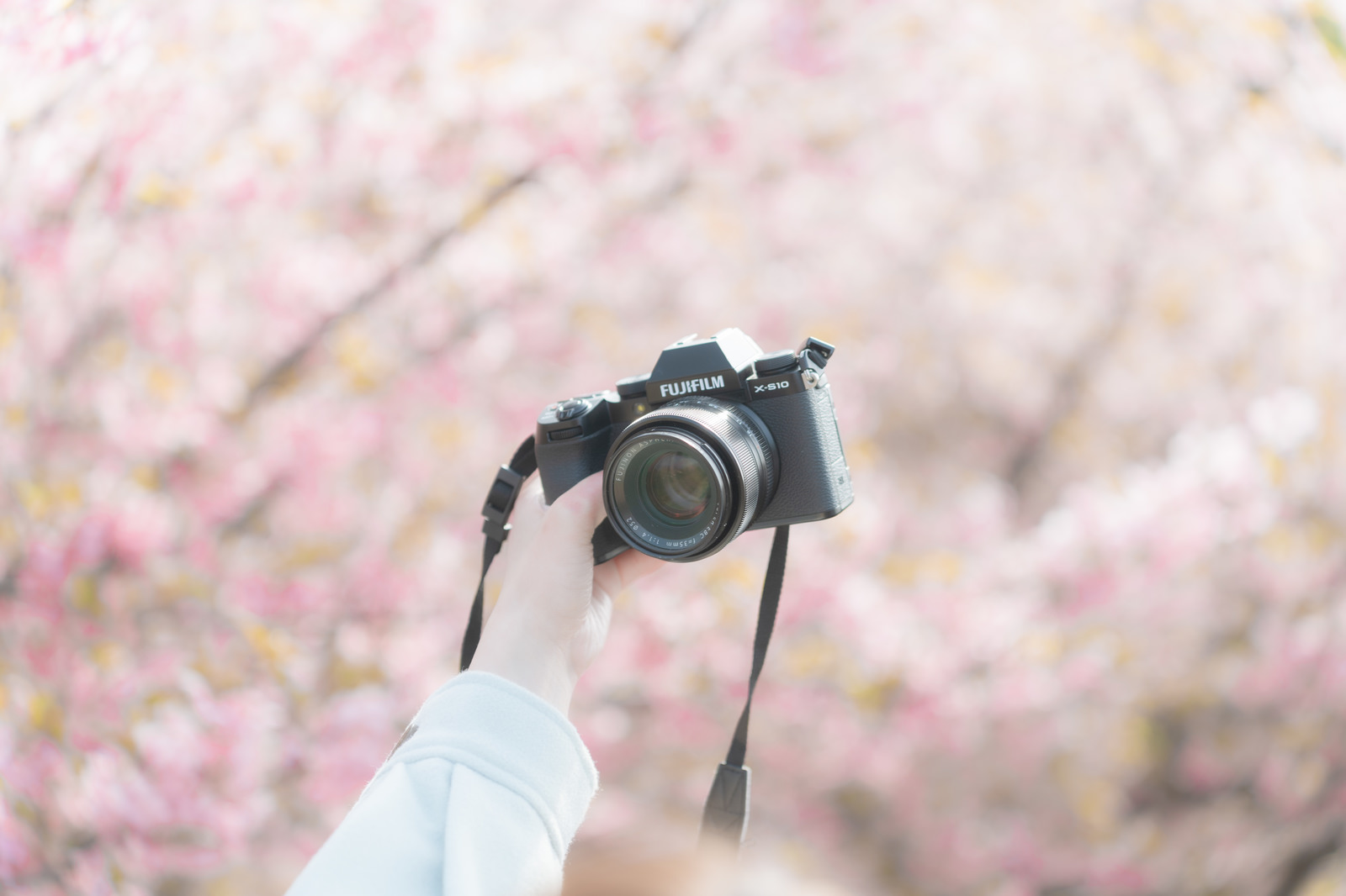 「満開の桜並木と一眼カメラで自撮り | フリー素材のぱくたそ」の写真