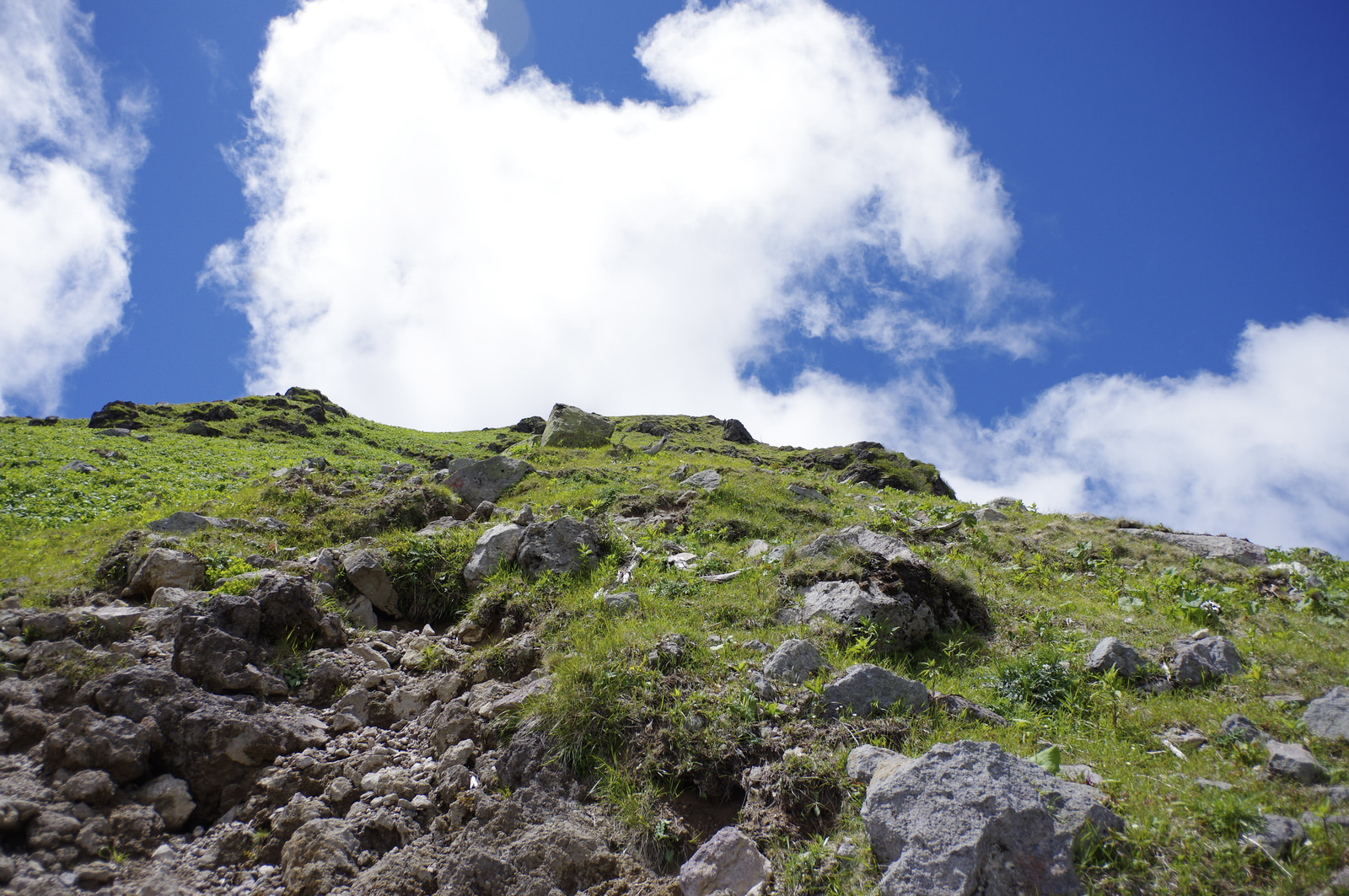 「青い空と白い雲がまぶしい日光白根山登山道」の写真