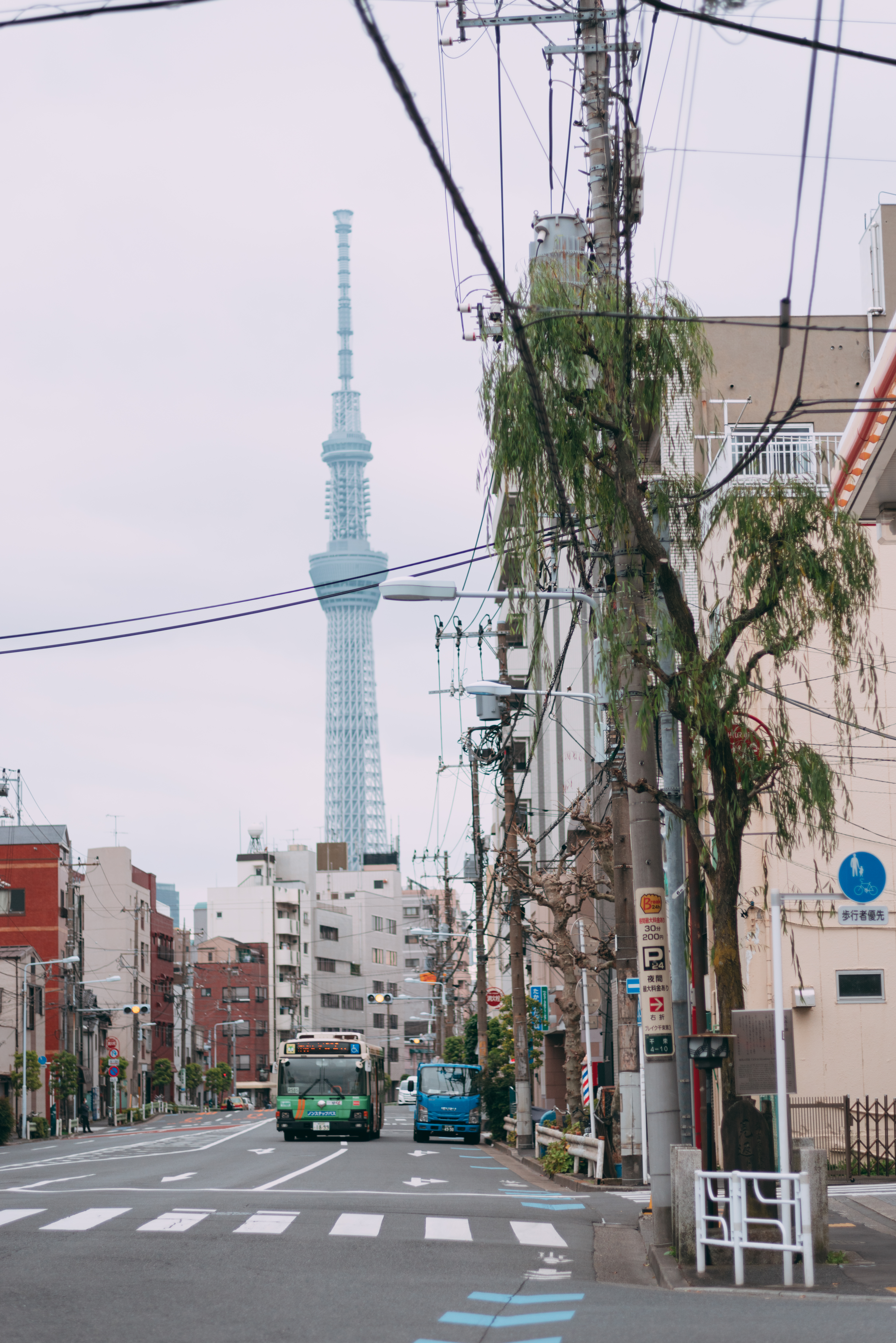 見返り柳とスカイツリーの写真素材 ぱくたそ