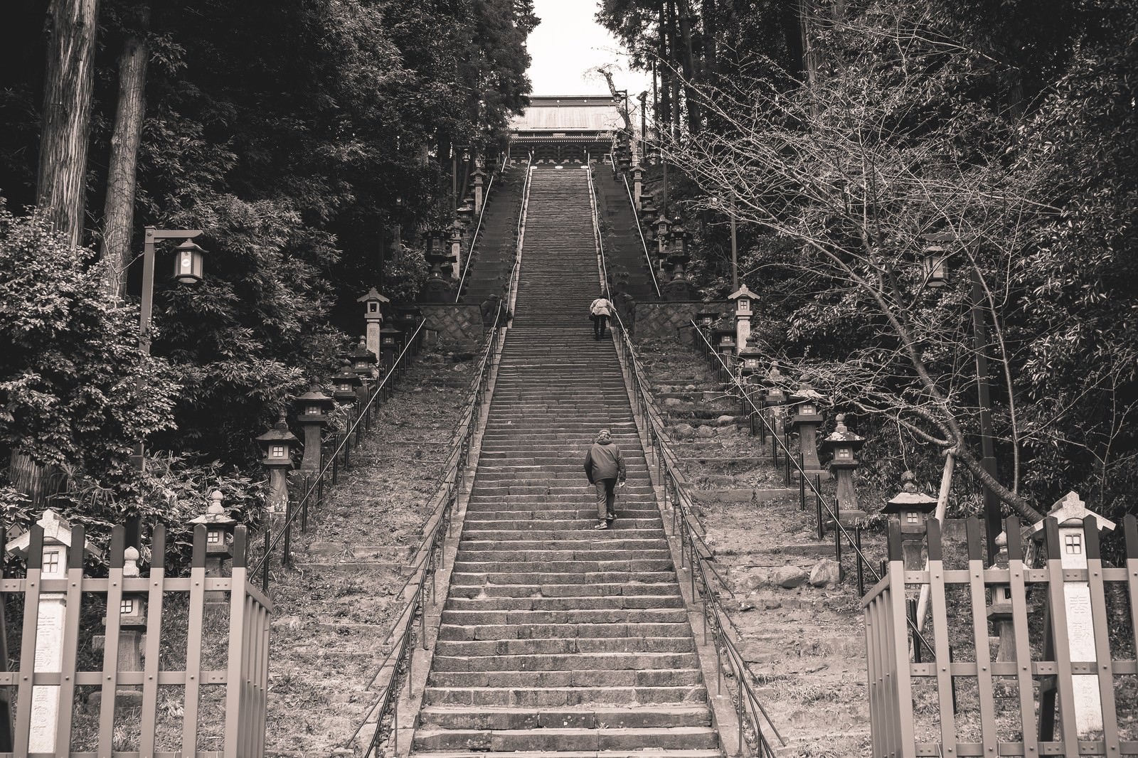 「鹽竈神社への階段を上る参拝者（宮城県塩竈市）」の写真